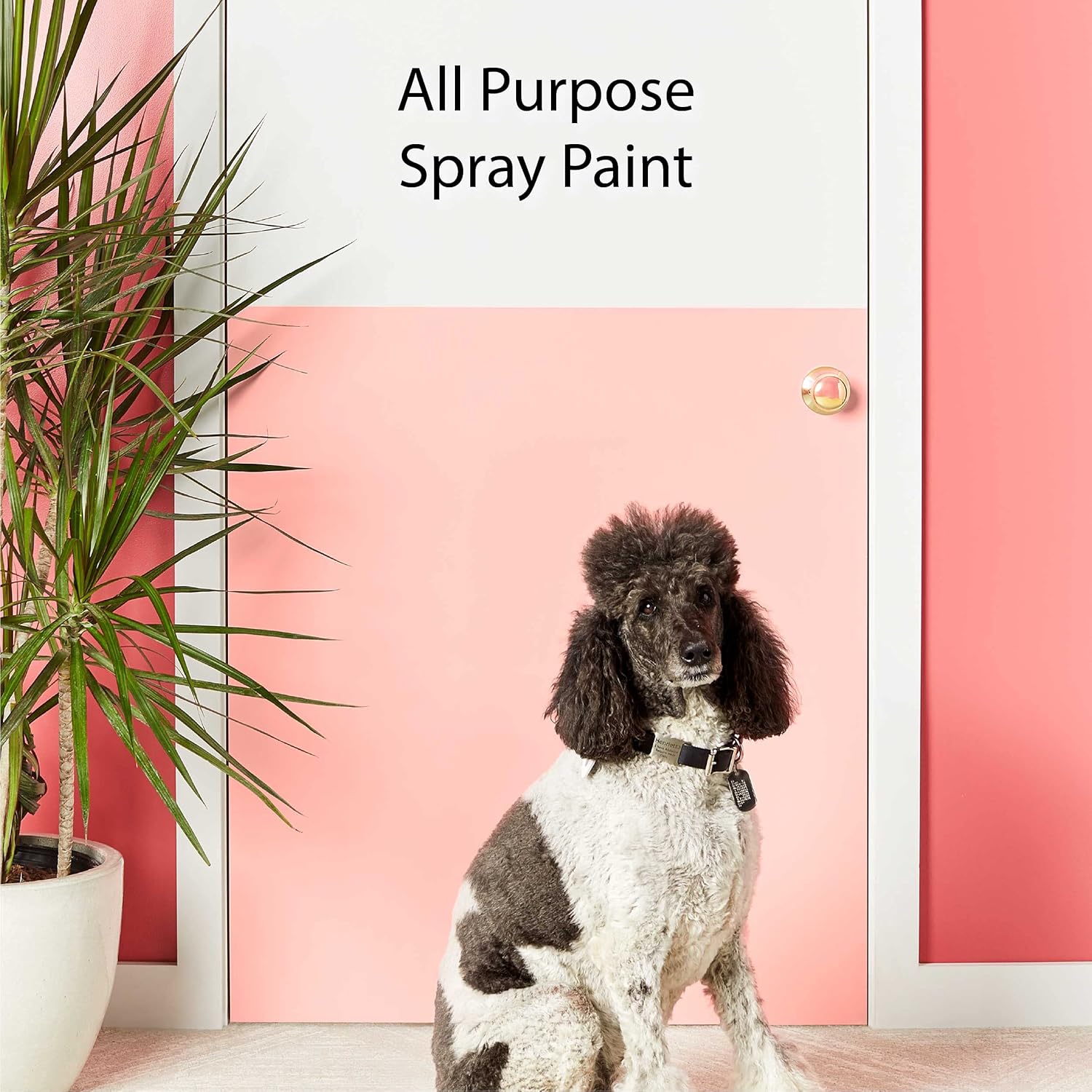Krylon K05580007 COLORmaxx – Pintura y base en aerosol para uso en interiores y exteriores, color blanco semibrillante, 12 onzas (paquete de 1)