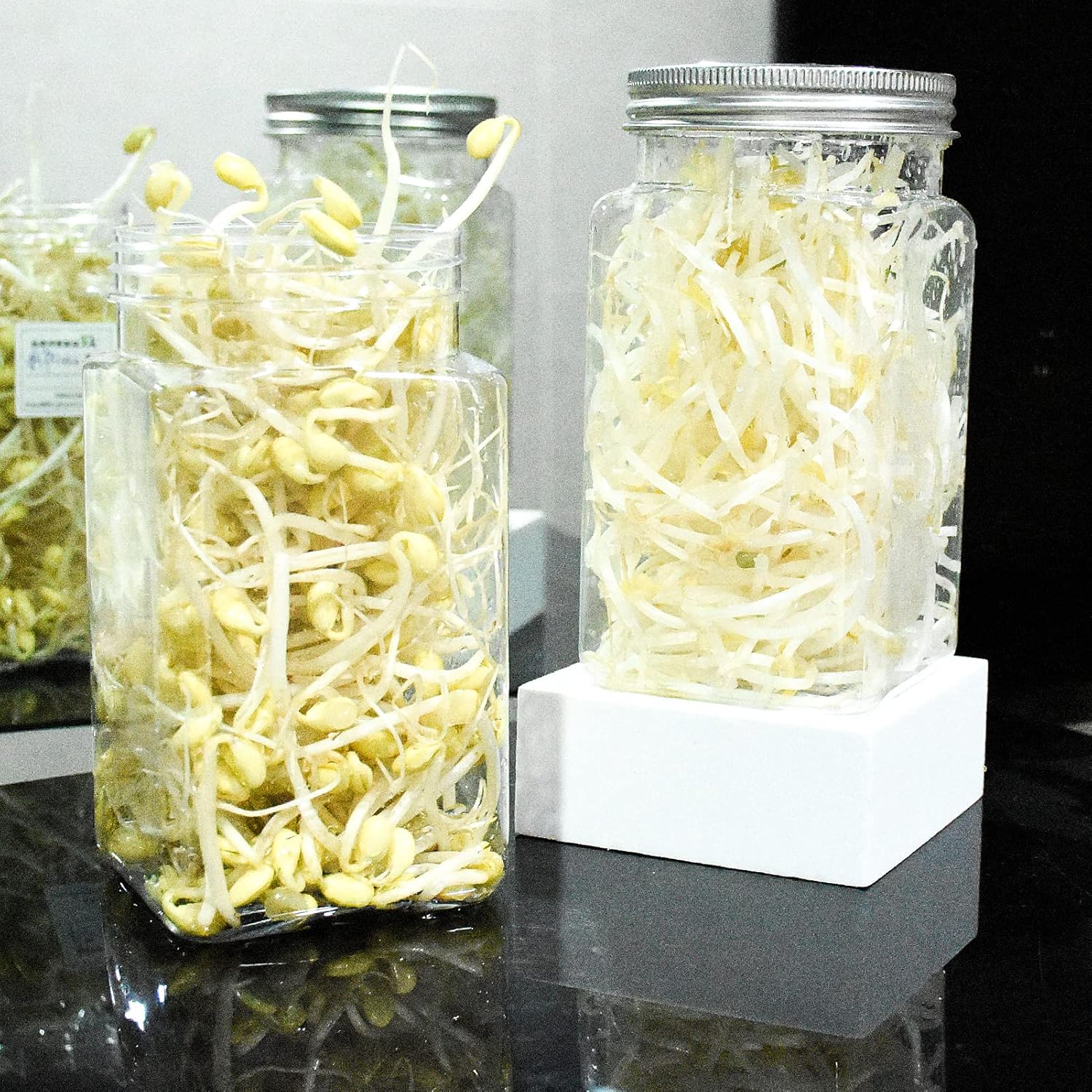 Kit de germinación, kit de 3 tarros de germinado, kit de cultivo de brotes, con 3 tapas de brote, mangas opacas, soporte para germinado, bandeja de
