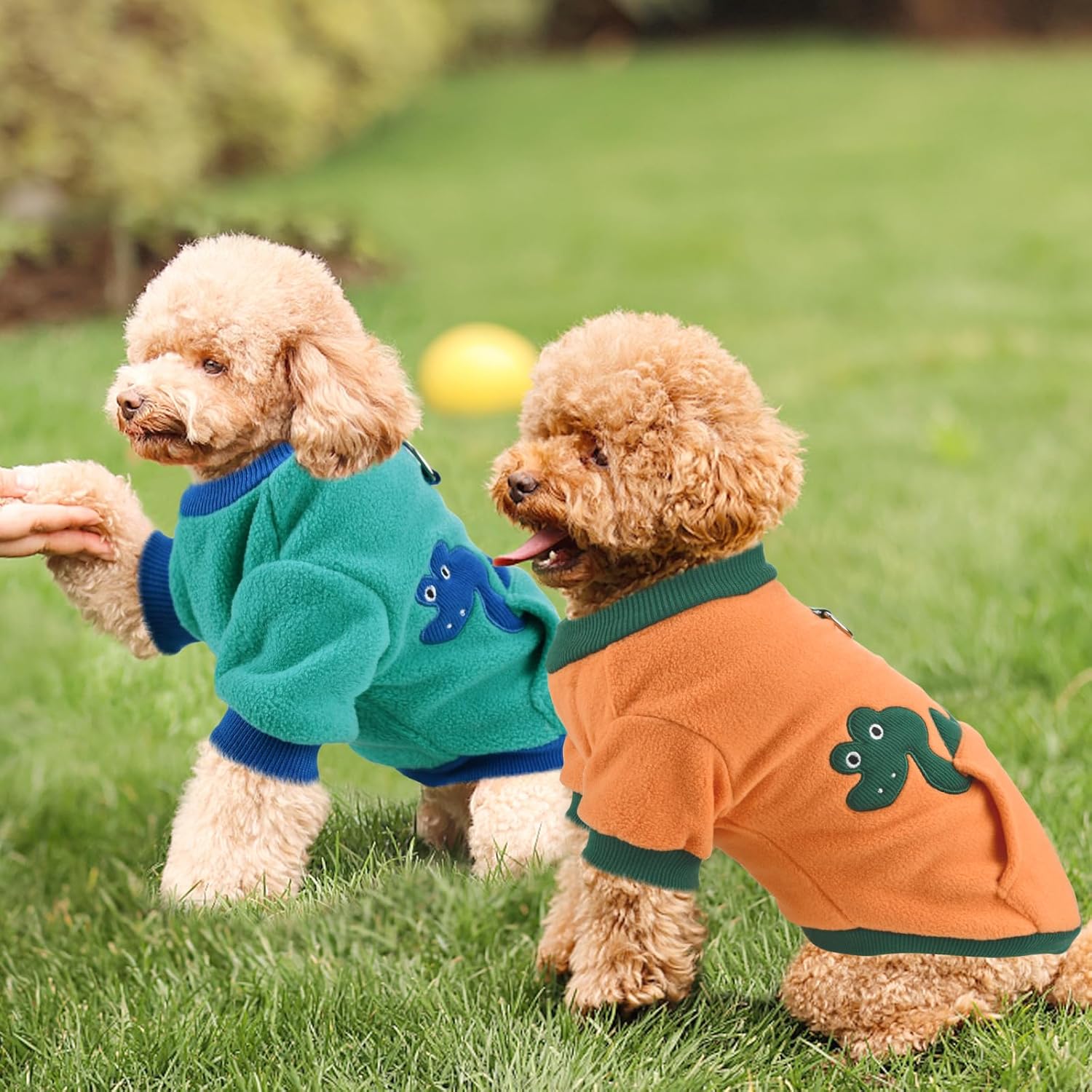 Suéter para perros cachorros y gatos, cálida sudadera estirada, lindo patrón de dinosaurio, ropa de invierno con bolsillo para perros pequeños y
