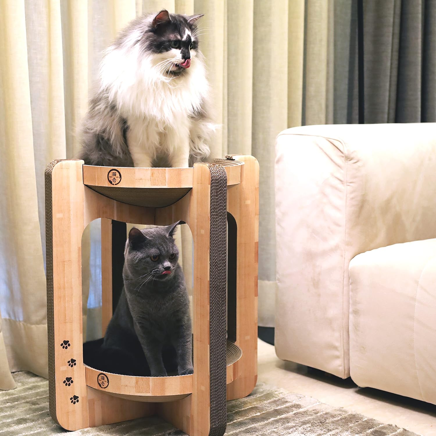 Necoichi Acogedor cuenco rascador para gatos, papel 100% reciclado, materiales sin químicos, número 1 en venta en Japón (torre roble), regular)