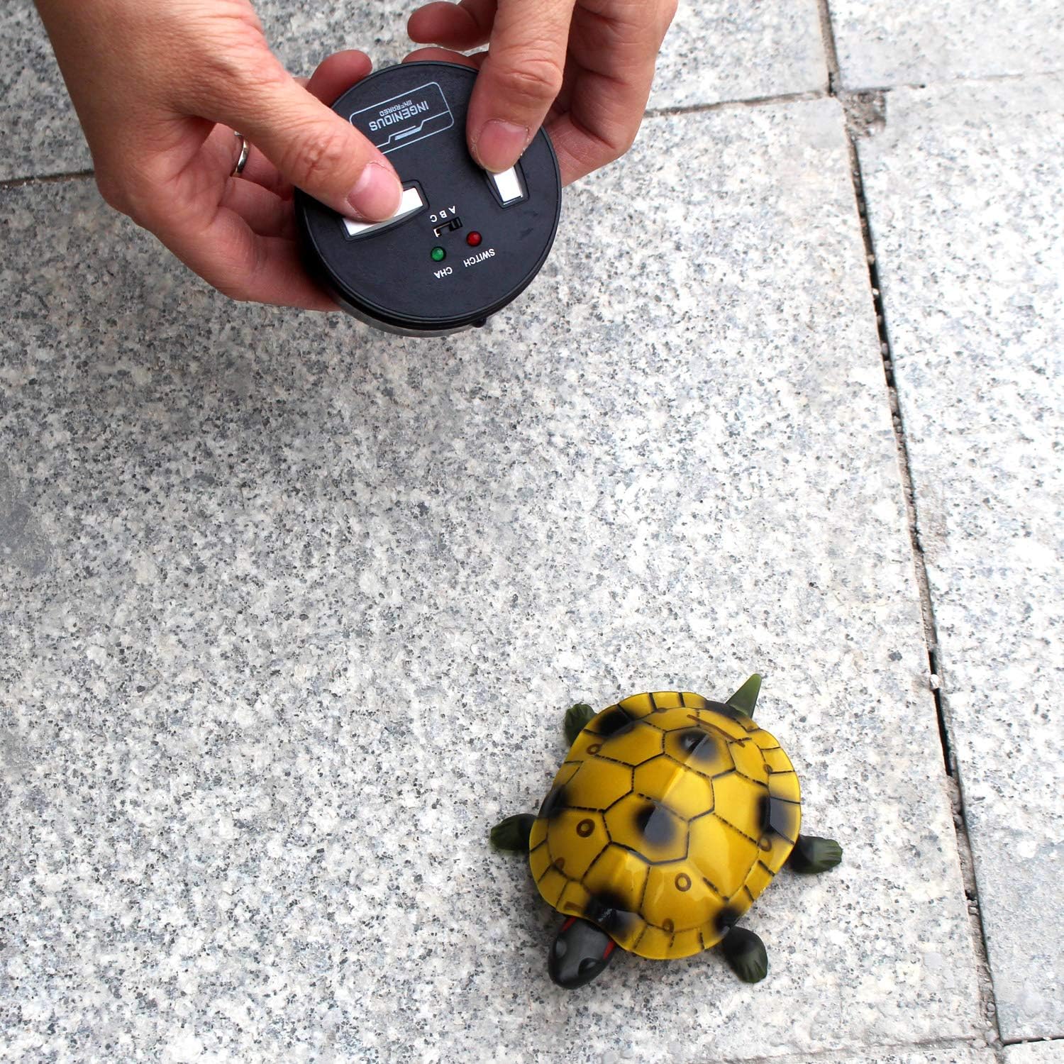 Tipmant Tortuga RC IR Control remoto Tortuga Crawl Vehcile Electric Animal Toy realista para niños pequeños regalos de cumpleaños (marrón)