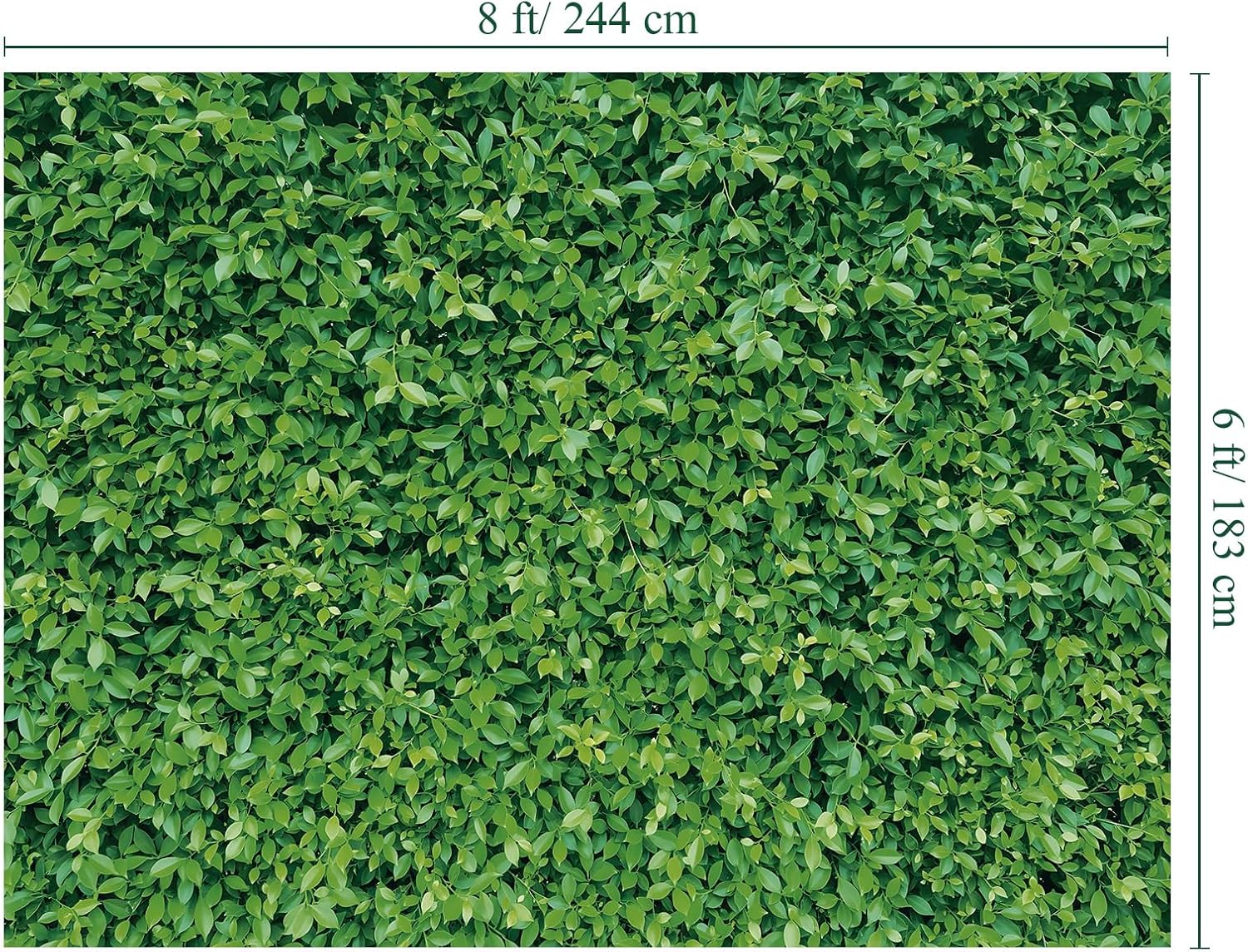 Mixweer Telón de fondo de pared de hojas verdes de 8 x 6 pies, fotografía 3D de hierba vegetal, naturaleza, fondo de tela de poliéster para