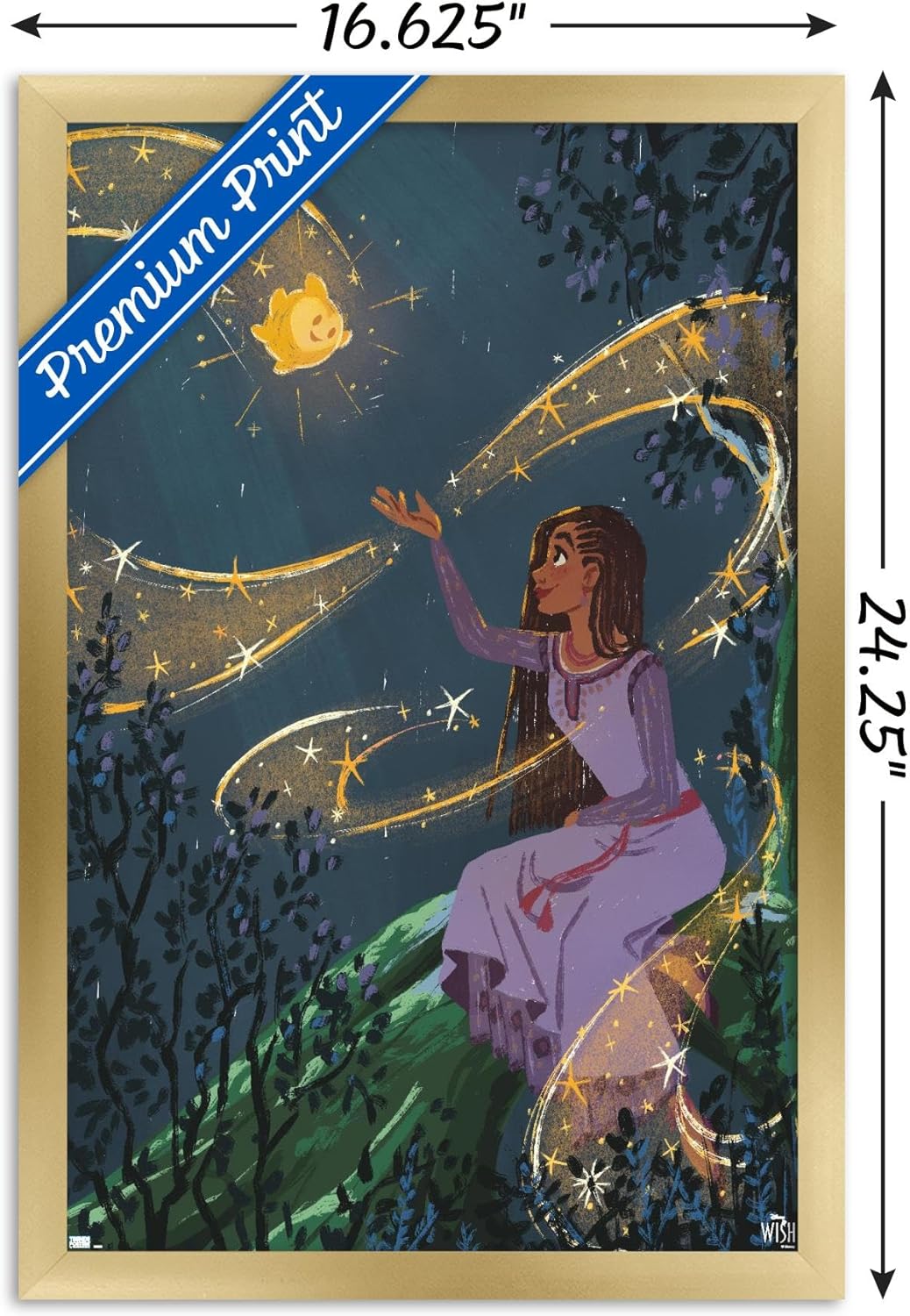 Trends International Disney Wish – Póster de collage 2 (Asha & Star), póster de pared, 14.72 x 22.37 pulgadas, versión enmarcada en oro