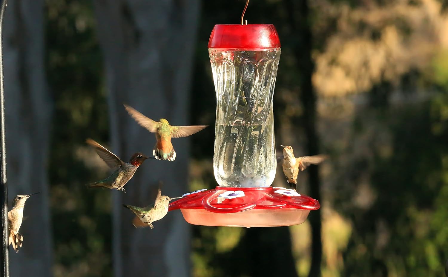 More Birds – Comedero de colibrí con diseño de rubí, Orión, –