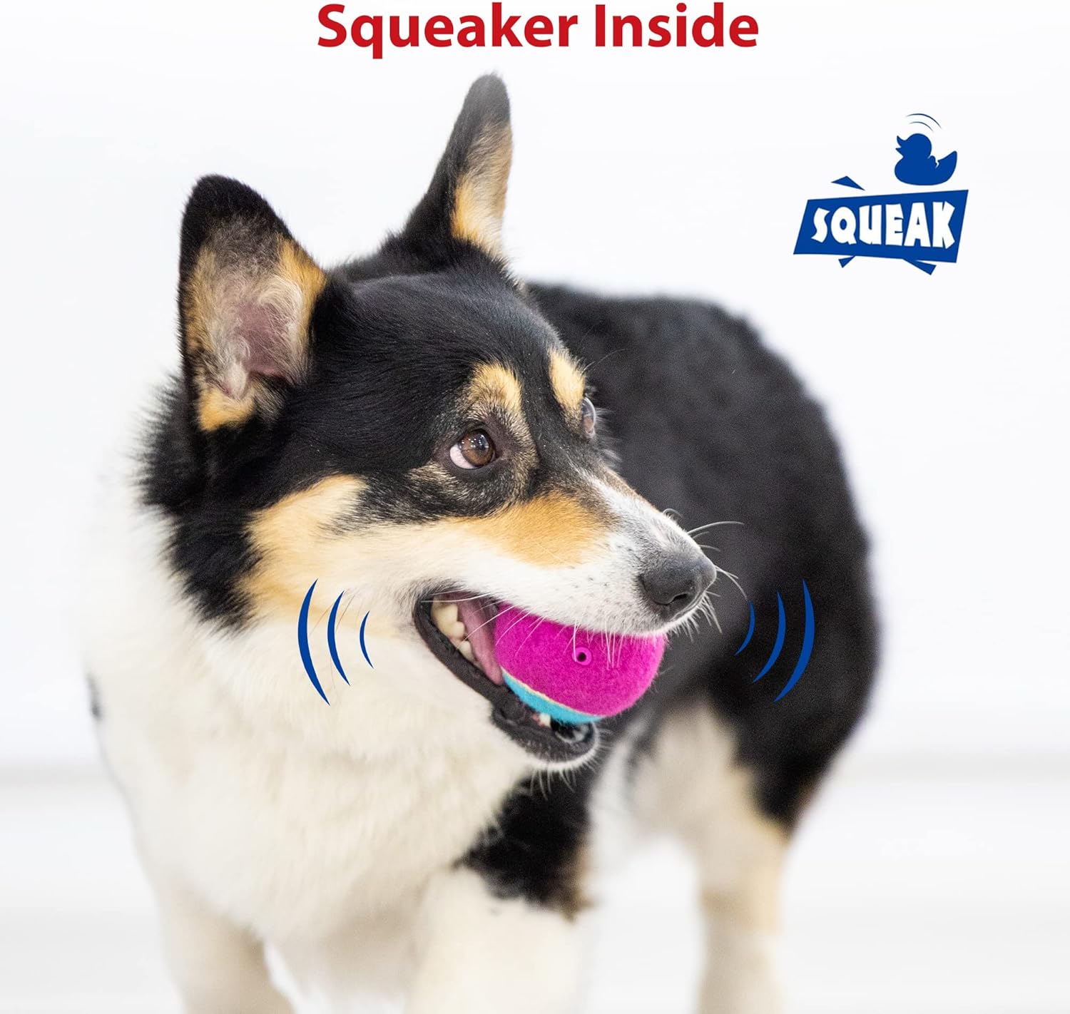 Gigwi Pelota de tenis chirriante para perros, pelota interactiva para perros pequeños y medianos, juguete de goma colorido y de rebote alto de 2.5