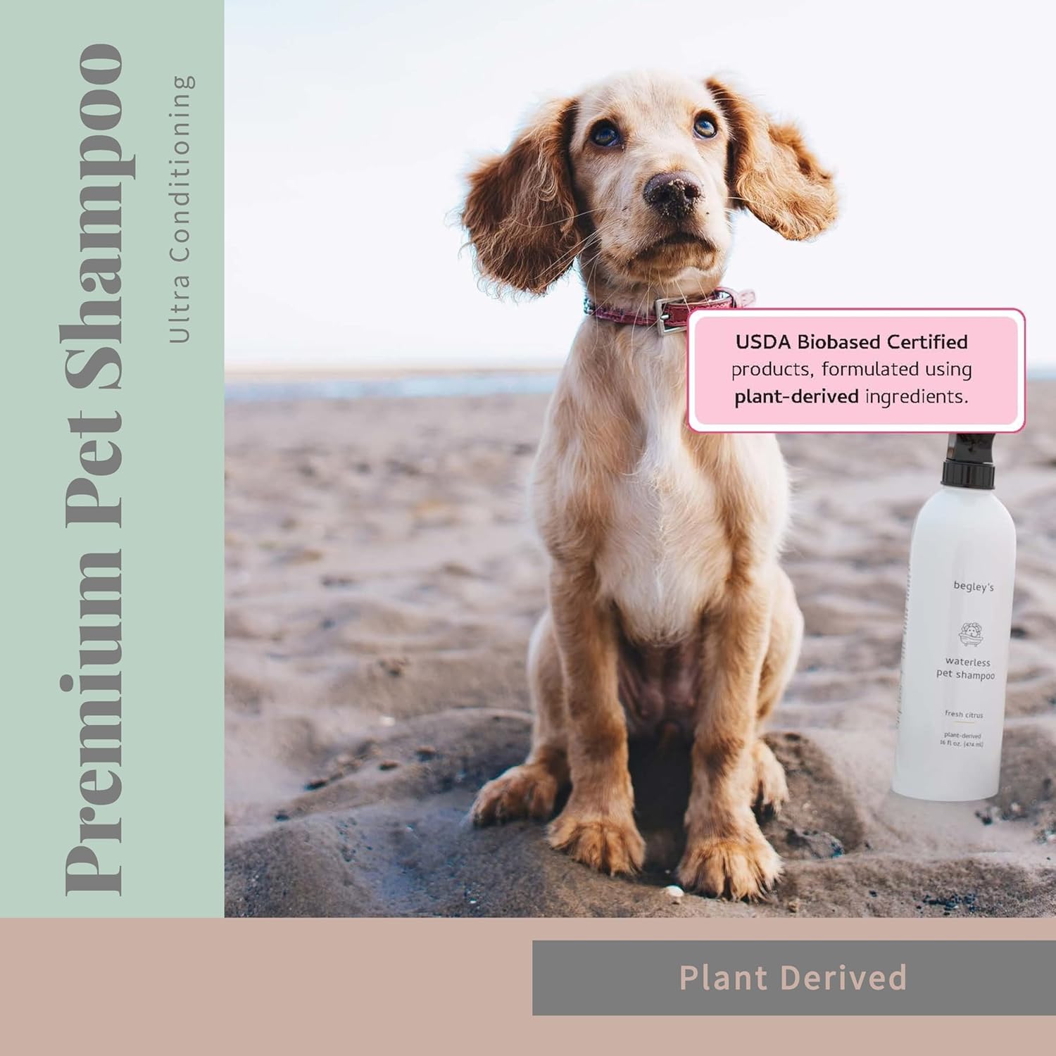 Begley’s Champú natural para mascotas sin agua sin enjuague, limpieza sin baño, desodorizante y eliminación de olores para un pelaje brillante y