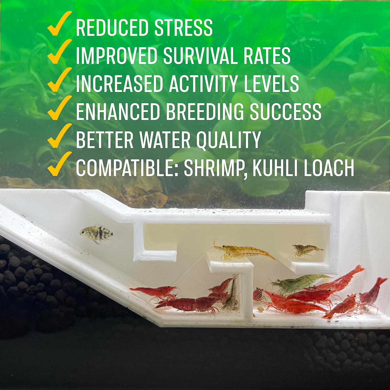 3DAquaticSolutions Túnel de fiesta de camarones de acuario, incluye exquisita habitación VIP y dos entradas, cueva de túnel para camarones y peces