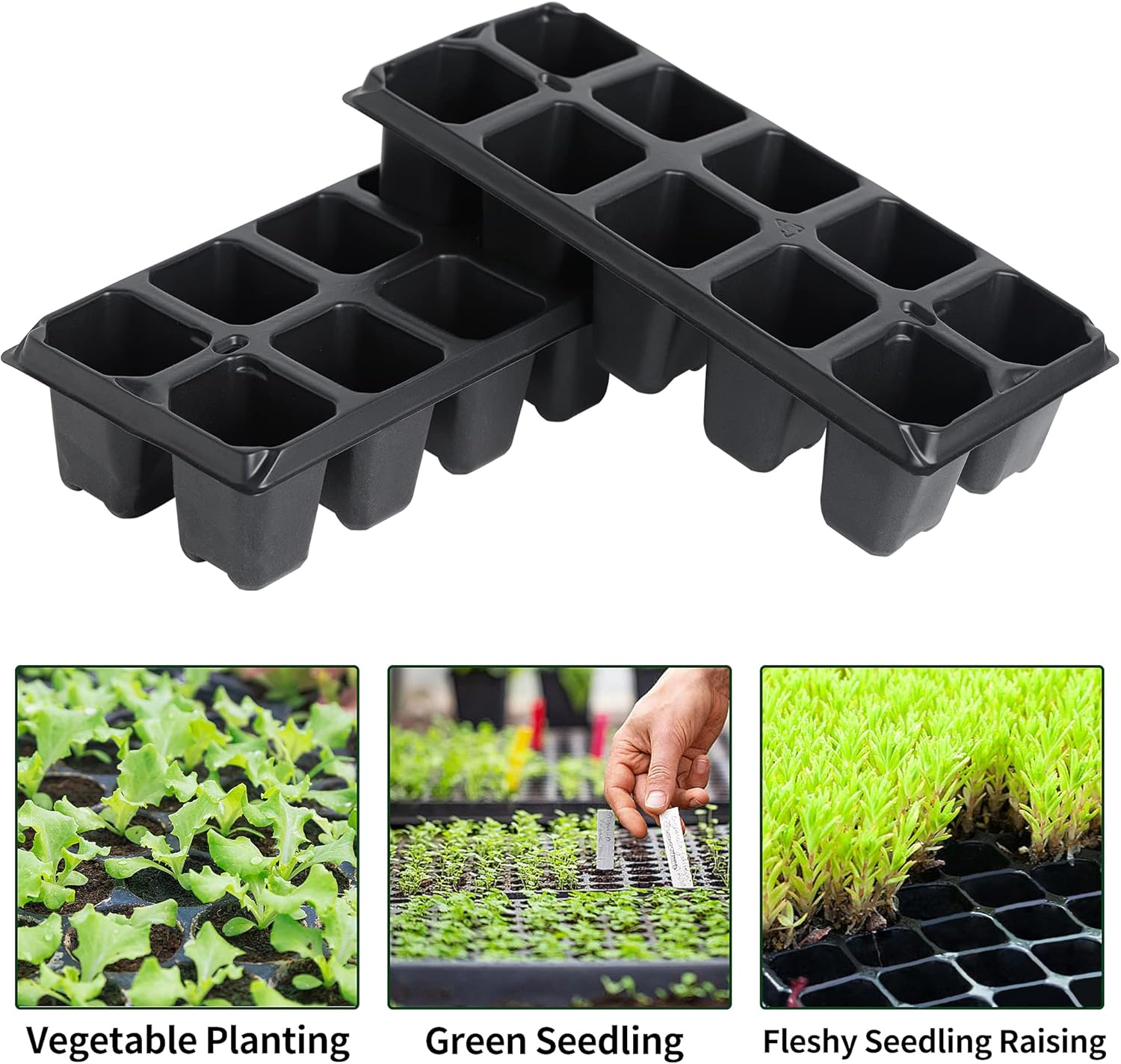 Yard Yard 200 bandejas de plántulas para enchufes, 20 unidades de contenedores reutilizables para plantas de cultivo de vivero, germinación de