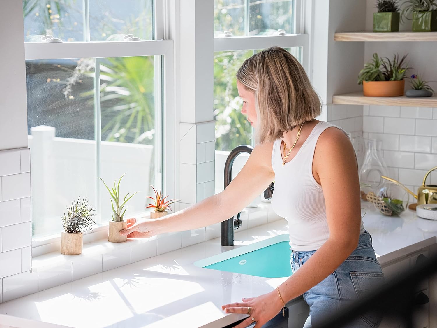 Paquete de 3 hebras gruesas de musgo español colombiano vivo con gancho de alambre, plantas suculentas de Tillandsia vivas, decoración para el hogar