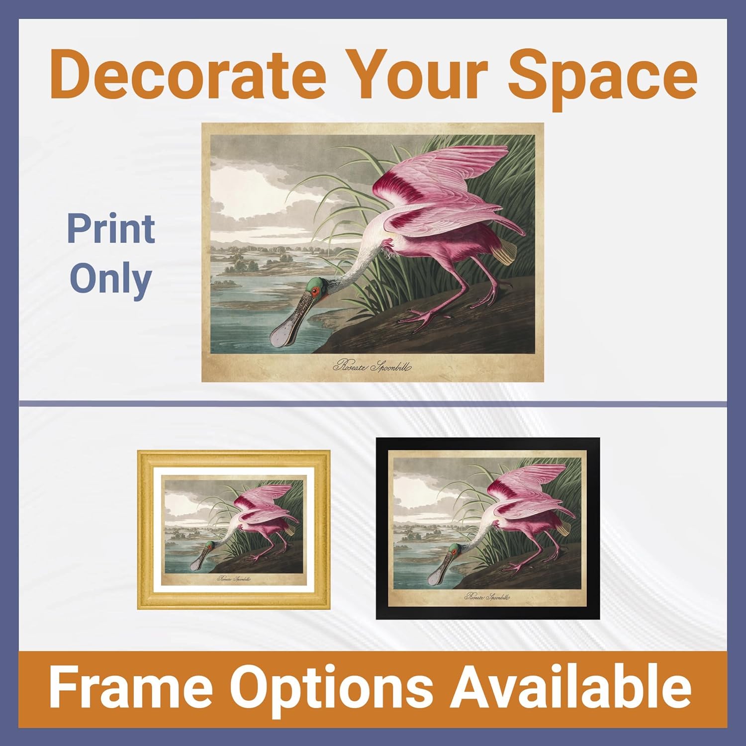 Roseate Spoonbill de James Audubon – Impresión sin marco de 12 x 16 pulgadas  Decoración artística enmarcada  Reproducción de pintura de arte fino