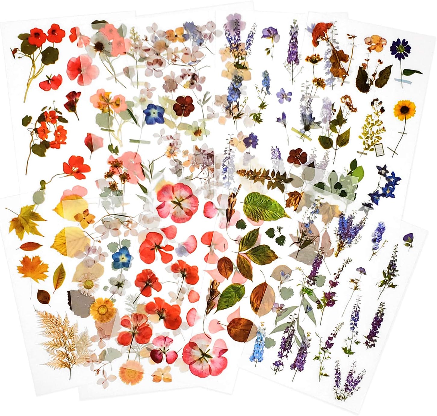 Pegatinas de transferencia para álbumes de recortes, calcomanías de flores, calcomanías de decoración, calcomanías de planificación, calcomanías de