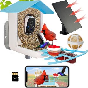 Comedero inteligente para pájaros con cámara alimentada por energía solar, video en vivo HD de 1080P y reproducción en teléfono, identificación AI Comedero inteligente para pájaros con cámara alimentada por energía solar, video en vivo HD de 1080P y reproducción en teléfono, identificación AI