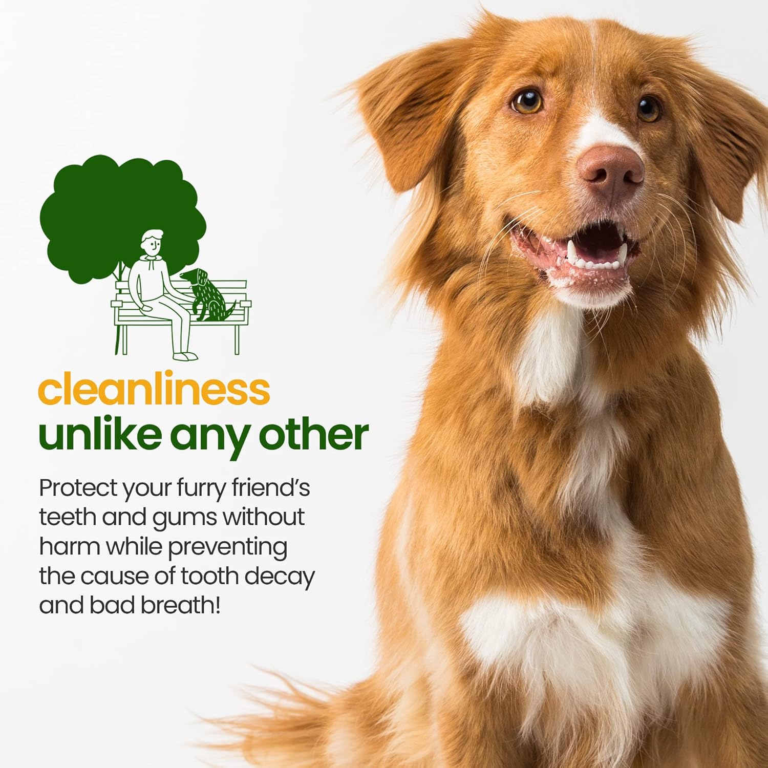 Gerrard Larriett – Ambientador natural de aliento para gatos y perros, rociador de limpieza de dientes de gato y perro con menta, aloe vera y