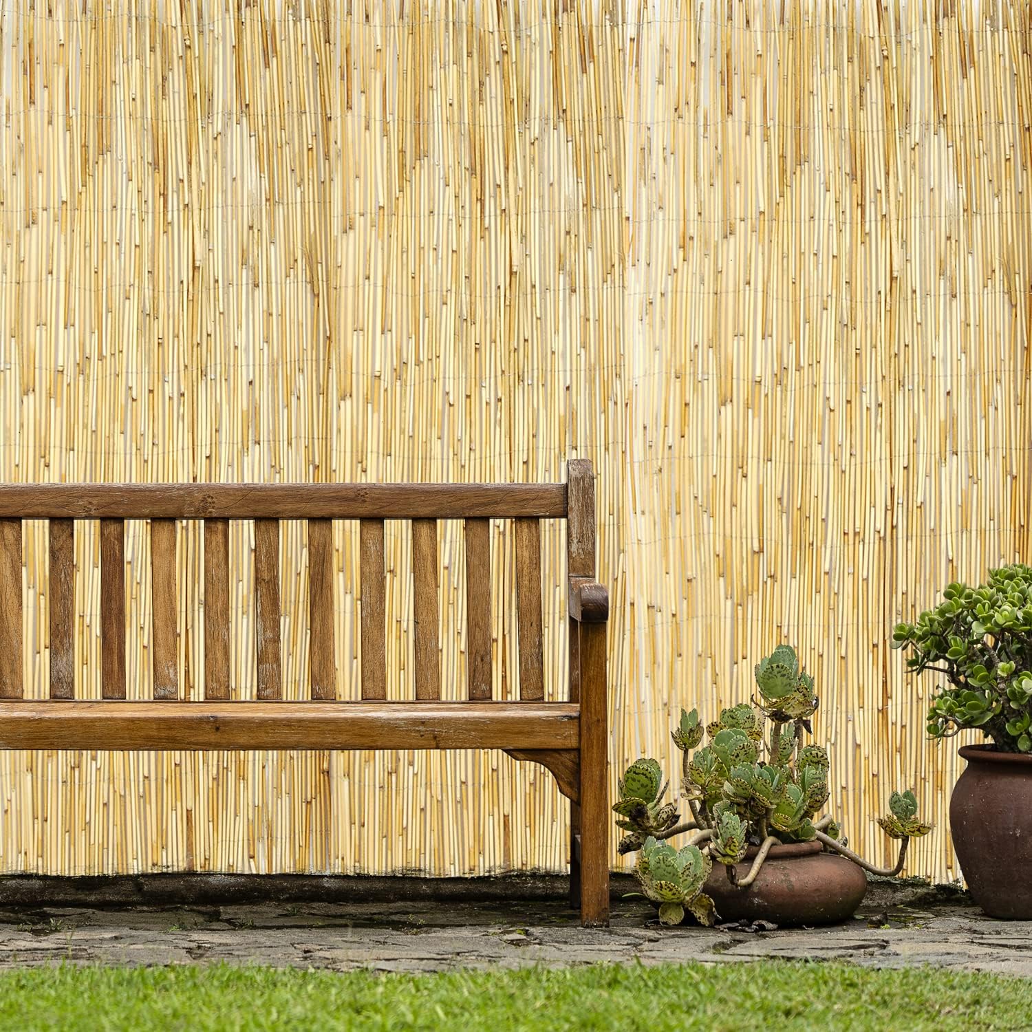 Backyard X-Scapes Valla decorativa de esgrima de caña natural para divisor de cercado de jardín de patio trasero, 6 pies de alto x 16 pies de largo