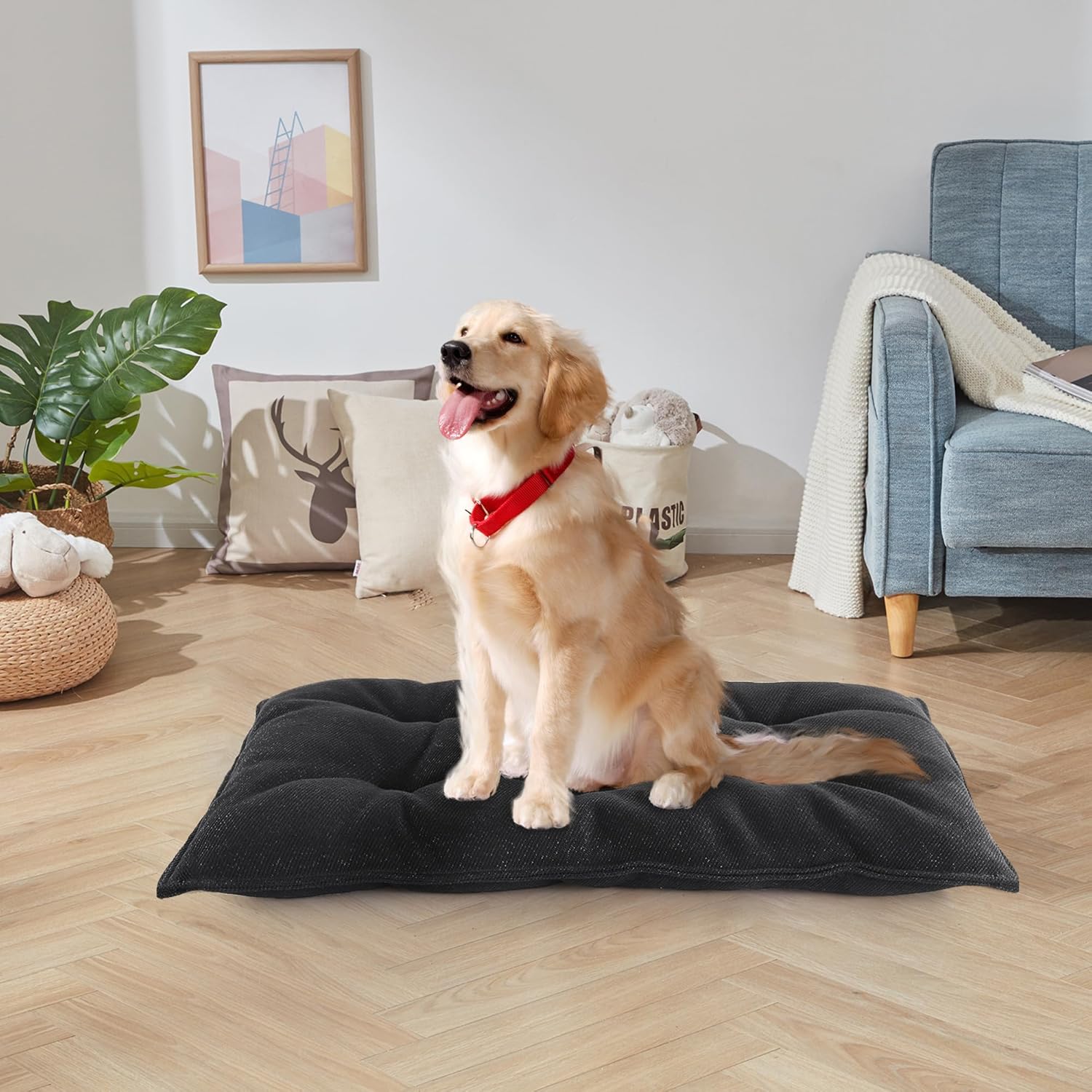 Cama a prueba de mordidas para perros medianos, alfombrilla estable para dentición de cachorros, almohadilla duradera para interiores y exteriores,