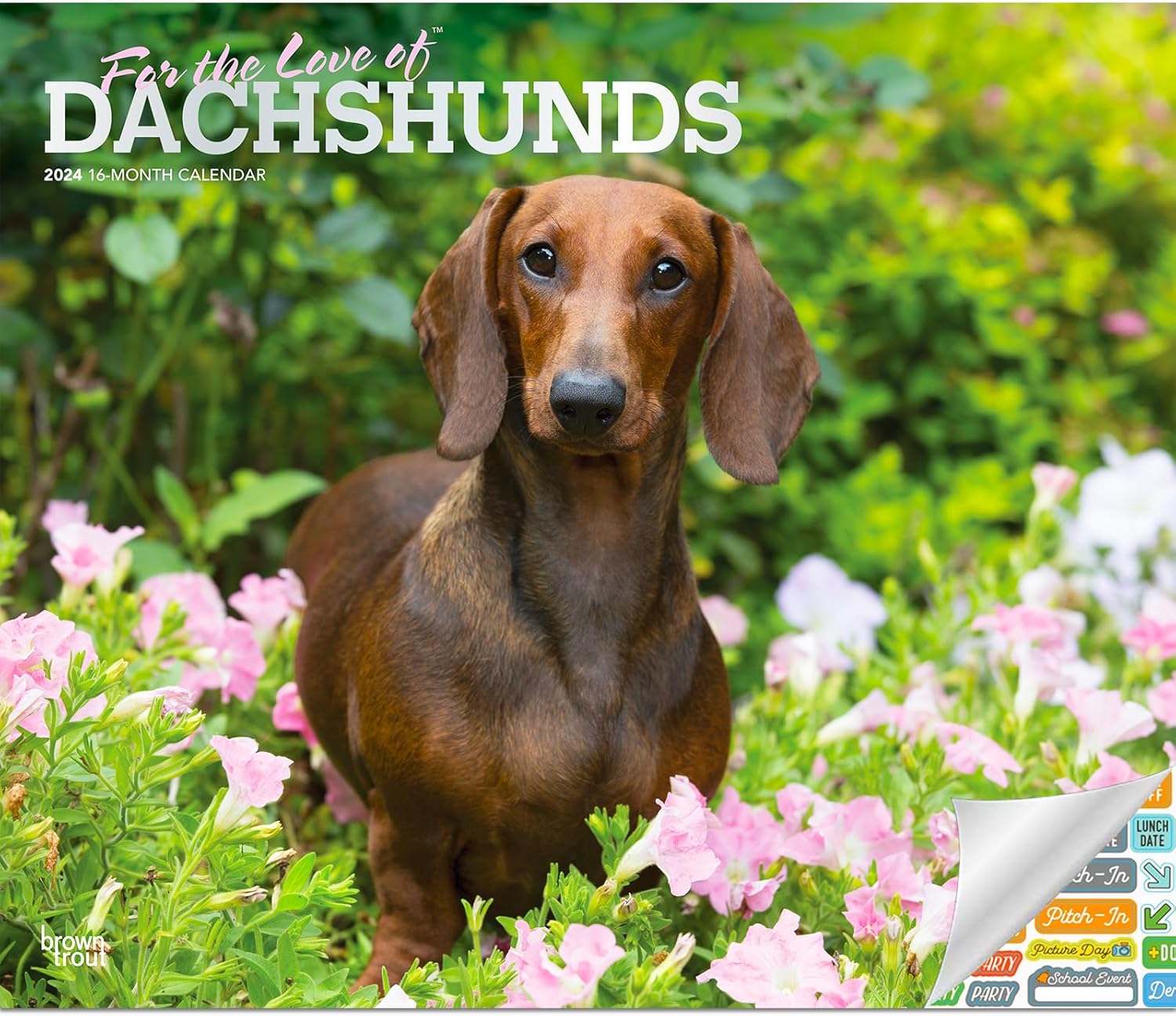 Calendario de Dachshunds 2024  Paquete de calendario de pared de perros Weiner Deluxe 2024 con más de 100 calcomanías de calendario (regalos de