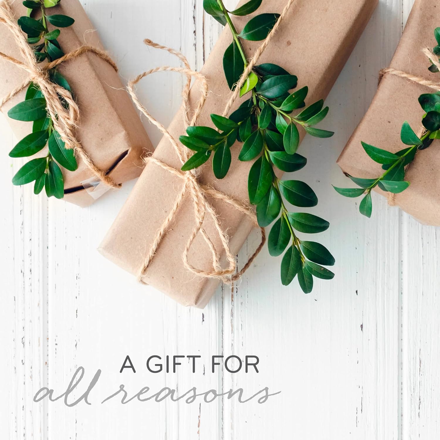 Thymes Difusor de varillas Petite – 4 onzas líquidas – Albahaca recién cortada