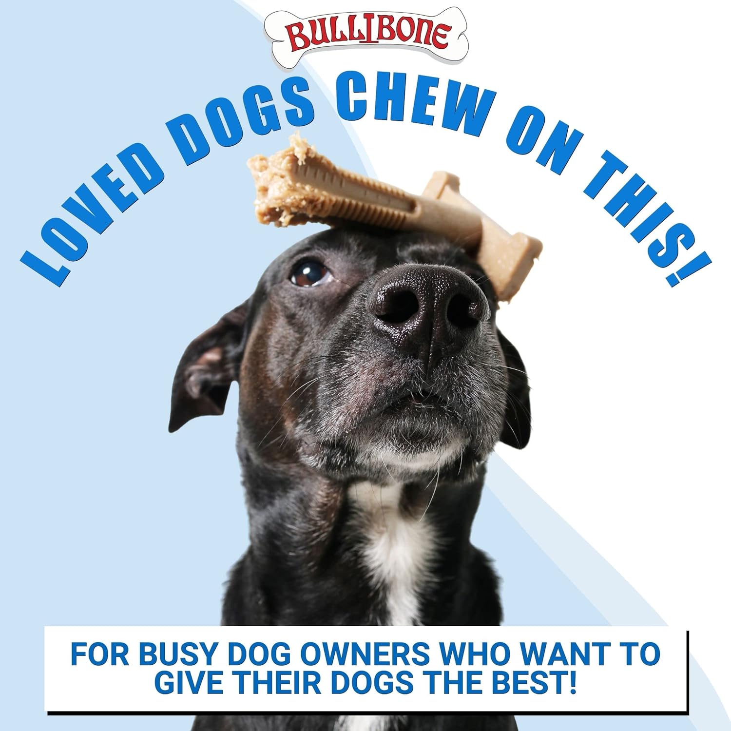 Bullibone SuperBrush cepillo de dientes para limpieza de dientes de perro, juguete masticable de nailon de larga duración para cuidado bucal y salud