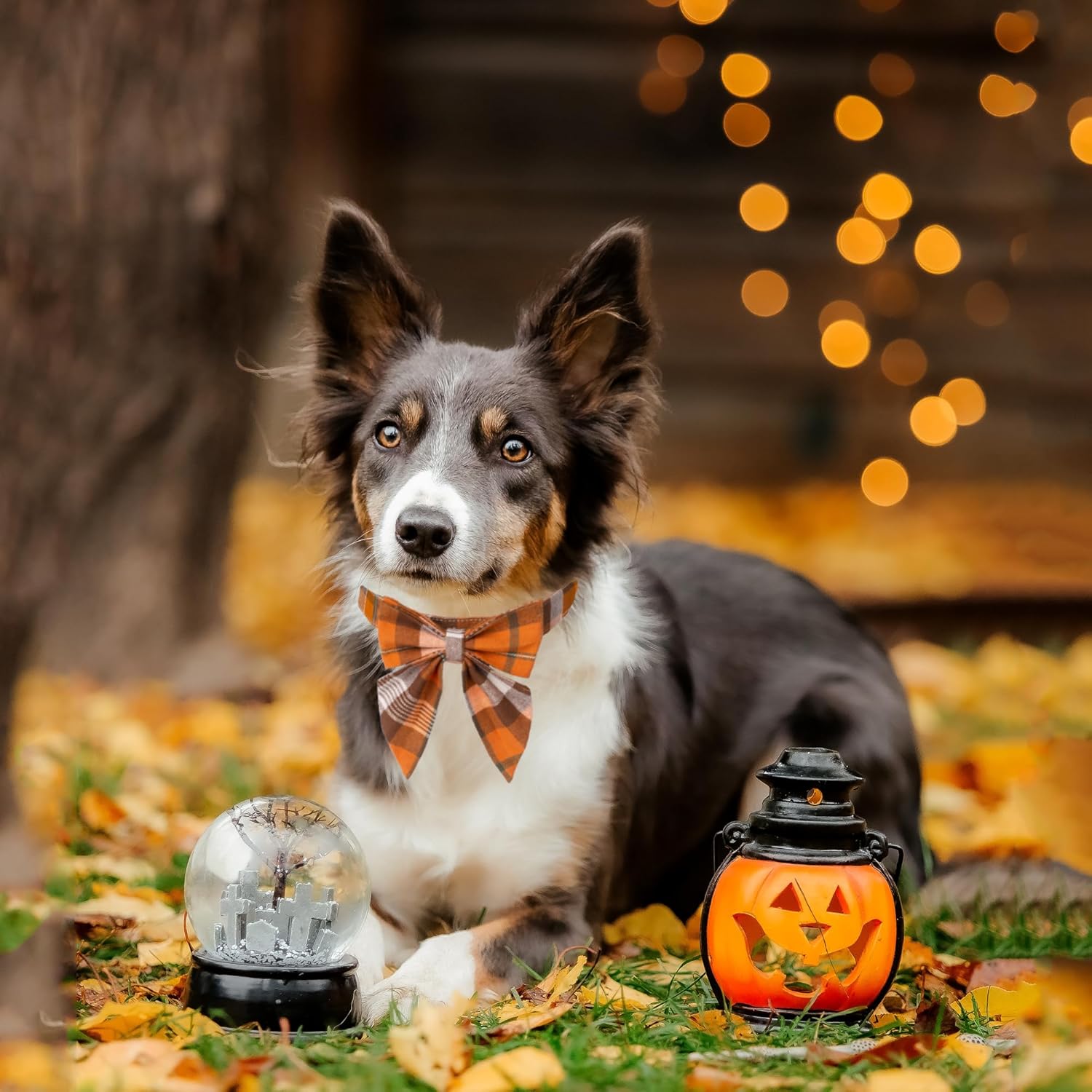 ADOGGYGO Collar de otoño para perro con lazo, collar de lazo para perro de Acción de Gracias, collar ajustable de algodón naranja con moño, collares