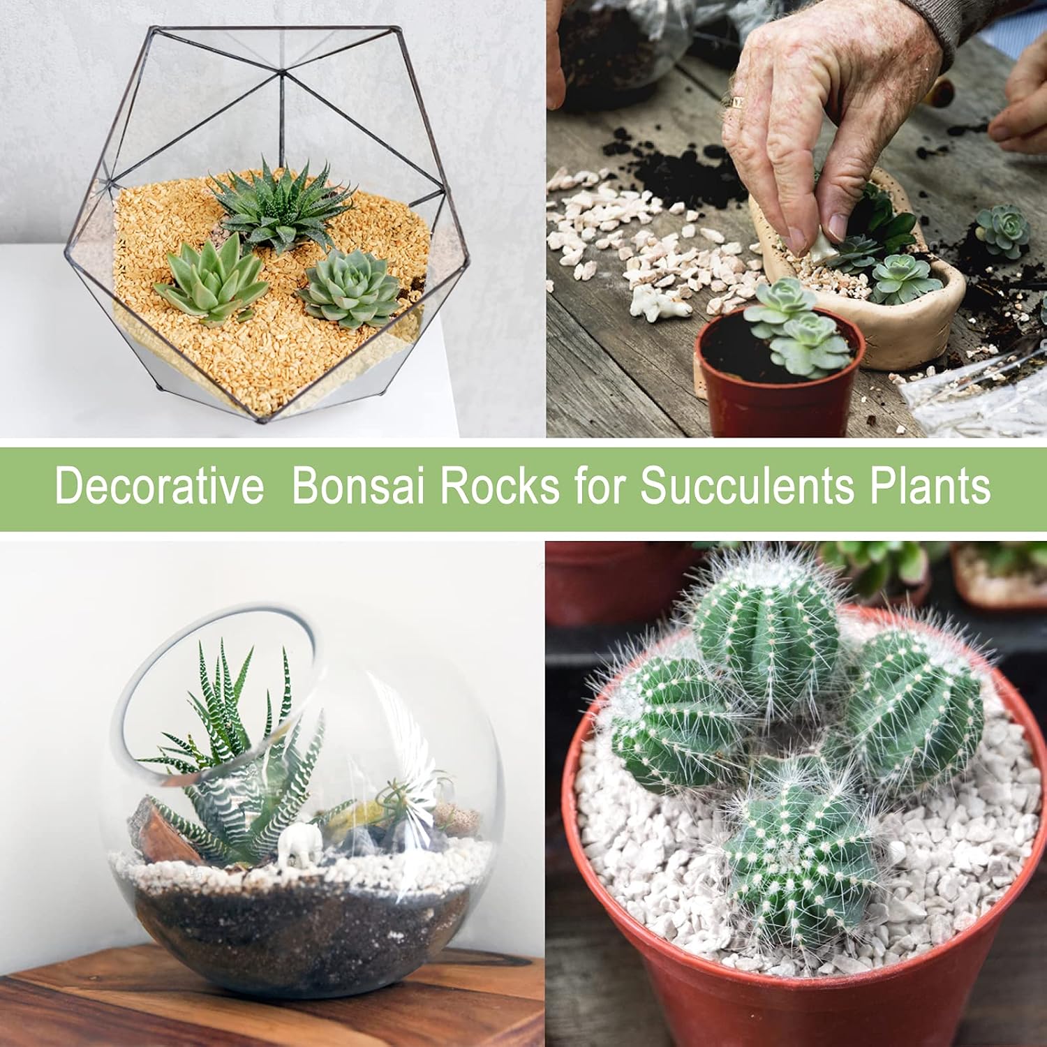 Piedras de 2 libras para plantas, rocas de drenaje para plantas en maceta, terrario suculento bonsái cactus piedras  guijarros de acuario para pecera