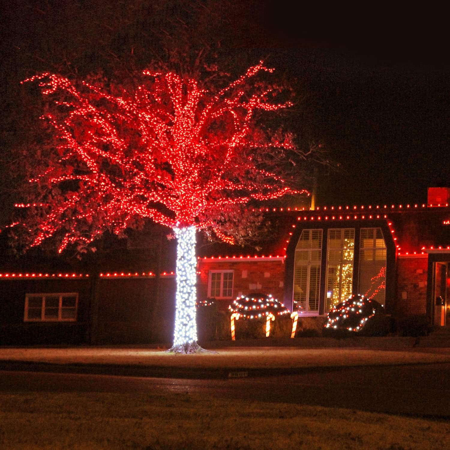 JMEXSUSS Guirnalda de luces LED de 168 pies, 600 luces LED para el día de San Valentín, luces rojas de Navidad con alambre transparente, 8 modos de