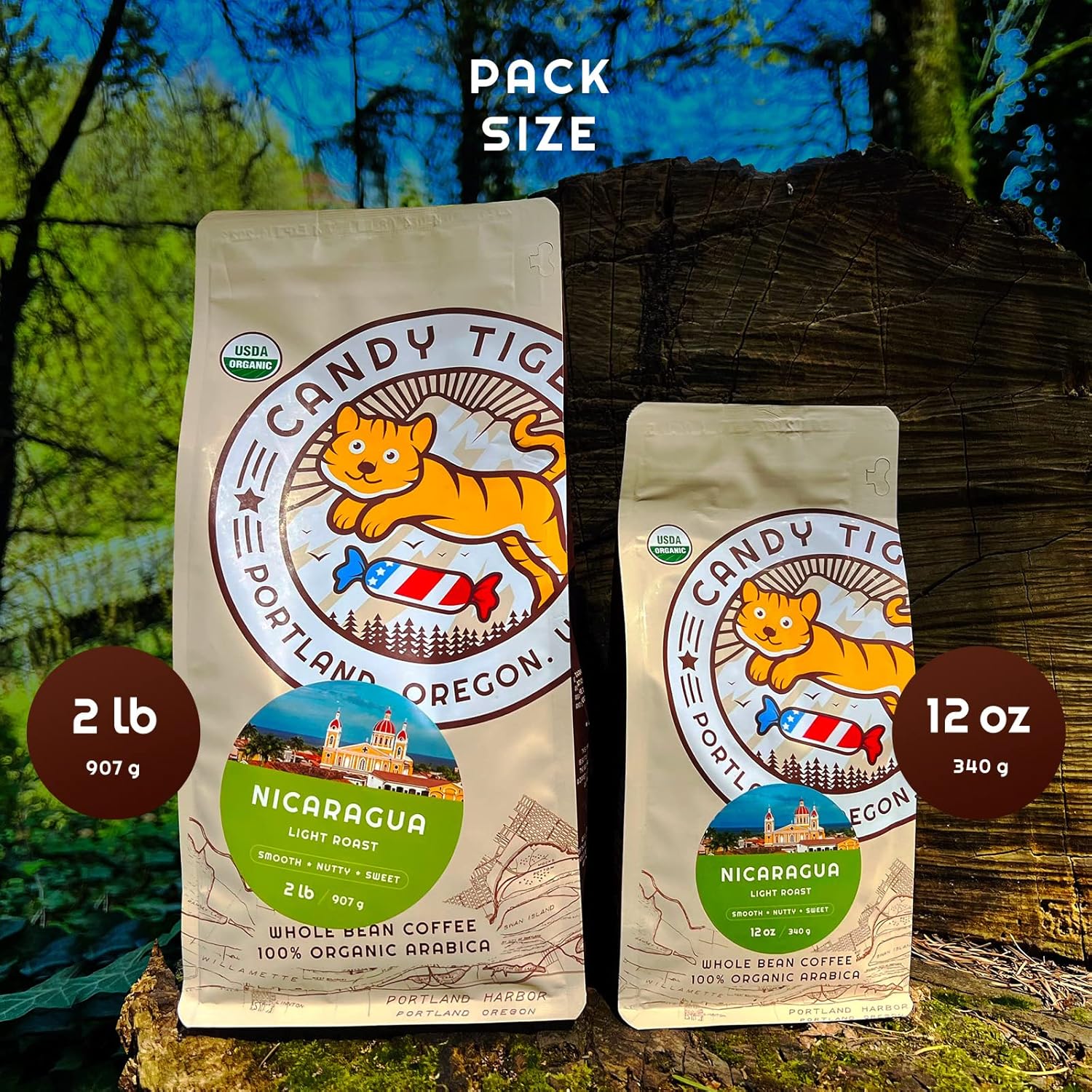 Café en grano entero, orgánico, bajo en ácido, tostado ligero, origen único, 100% arábica, granos de café nicaragüense, comercio directo, cultivado