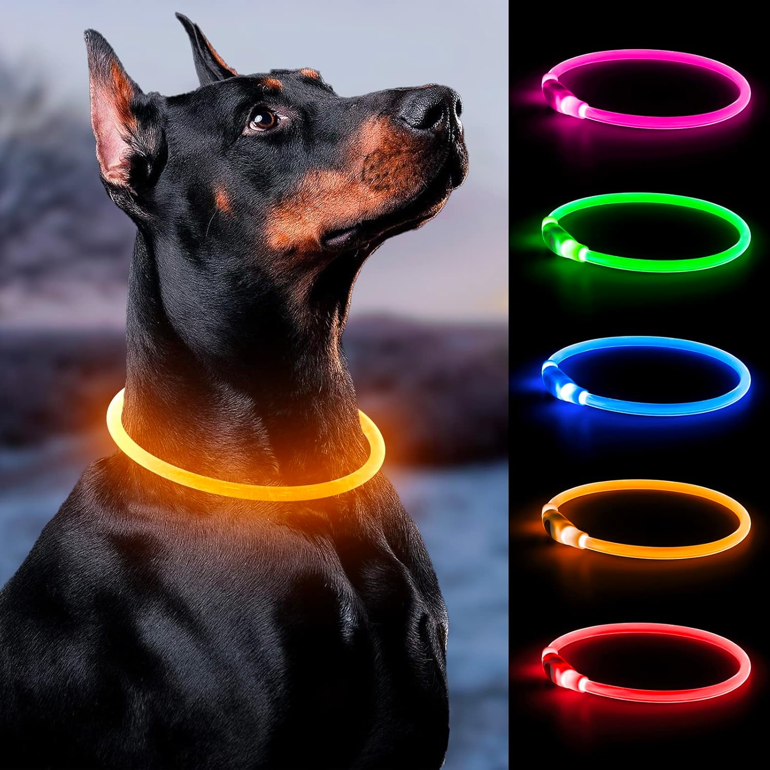 Bpawser Collar de perro con luz LED, 1 unidad recargable por USB, TPU brillante, collares básicos de seguridad para perros grandes, medianos y