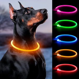 Bpawser Collar de perro con luz LED, 1 unidad recargable por USB, TPU brillante, collares básicos de seguridad para perros grandes, medianos y Bpawser Collar de perro con luz LED, 1 unidad recargable por USB, TPU brillante, collares básicos de seguridad para perros grandes, medianos y