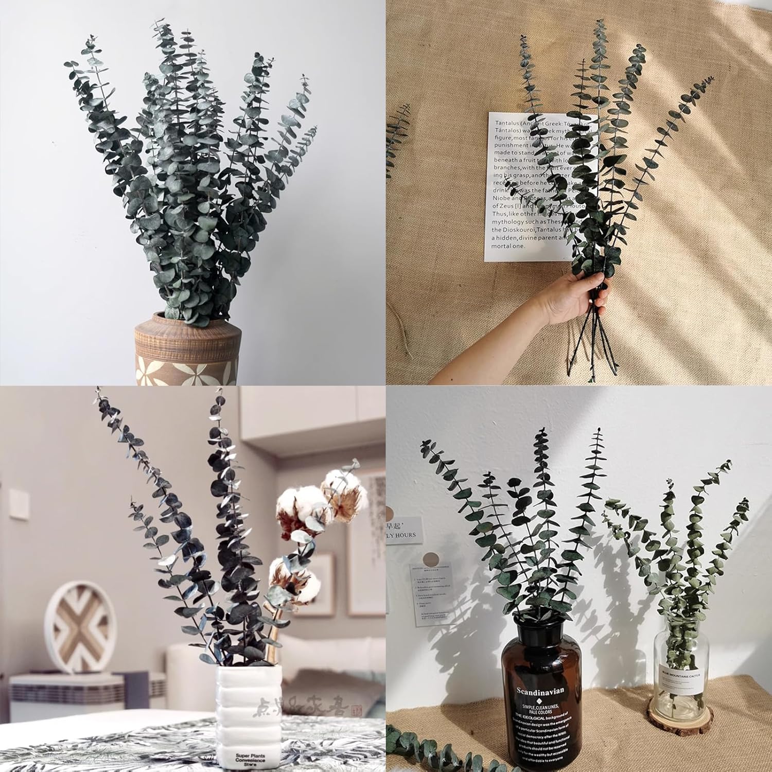 Eucalipto para ducha, 10 piezas de tallos de eucalipto secos colgantes de 17 pulgadas, hojas de eucalipto reales 100% hechas de eucalipto fresco,