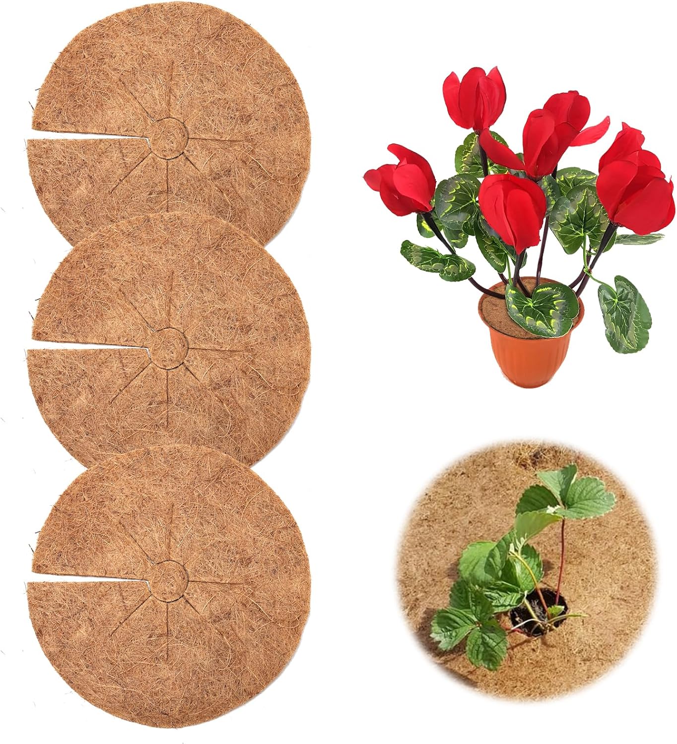 Tapete de fibra de coco, 3 unidades de 12 pulgadas, protector de árbol de coco de coco natural, protección de árbol de coco natural, tapete de