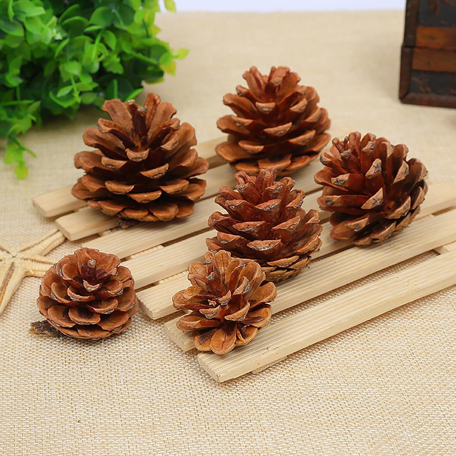 OSTTRPO Conos grandes de pino natural, piñas rústicas de Navidad a granel para manualidades y Navidad, Acción de Gracias, decoración de manualidades