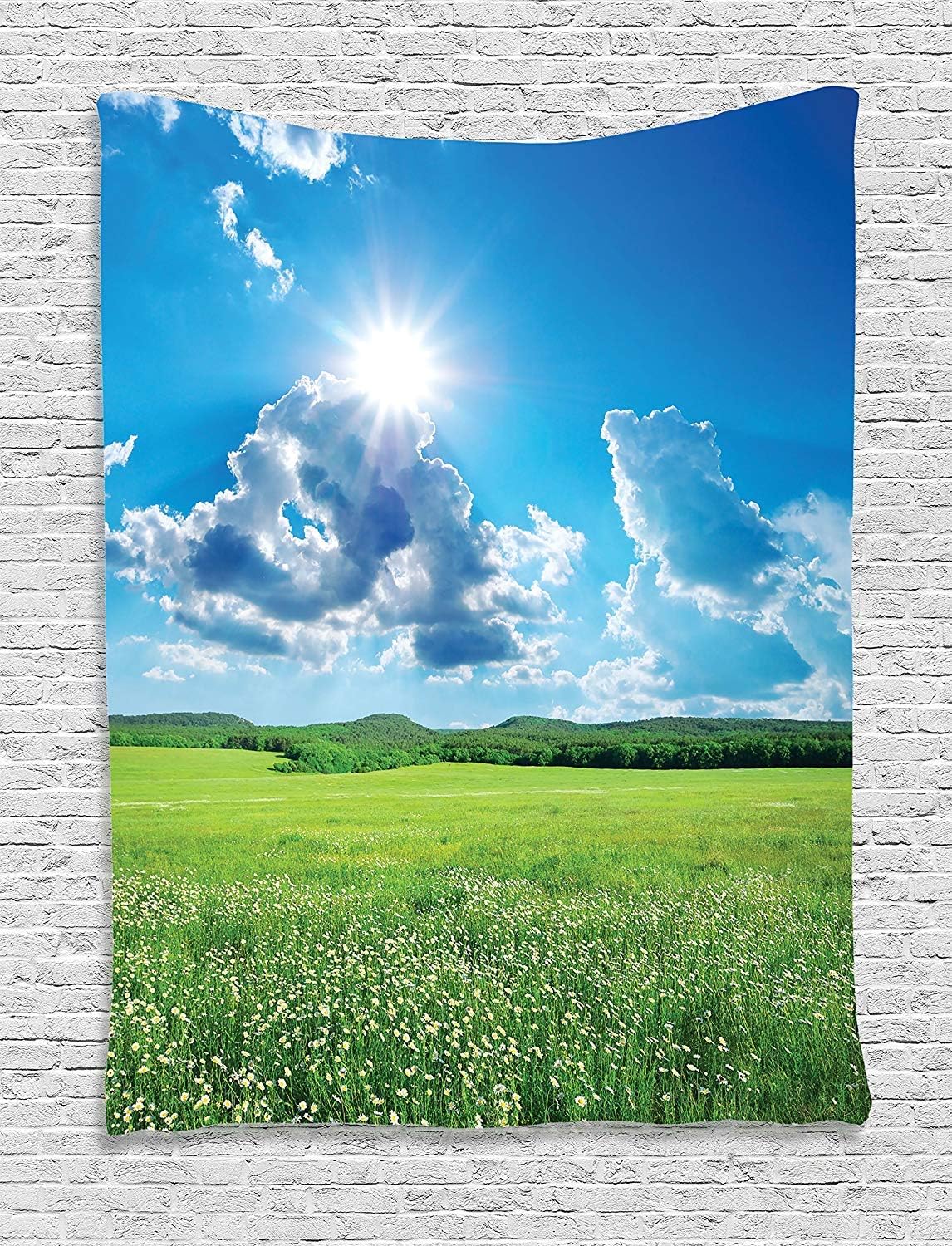 Ambesonne Tapiz de paisaje, paisaje primaveral con prado por la montaña y el cielo, impresión vívida de la naturaleza, para colgar en la pared para