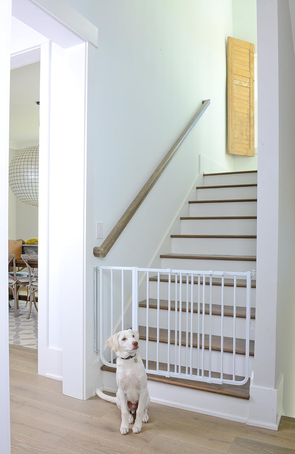 Puerta especial para escalera marca Cardenal Gates, Negro