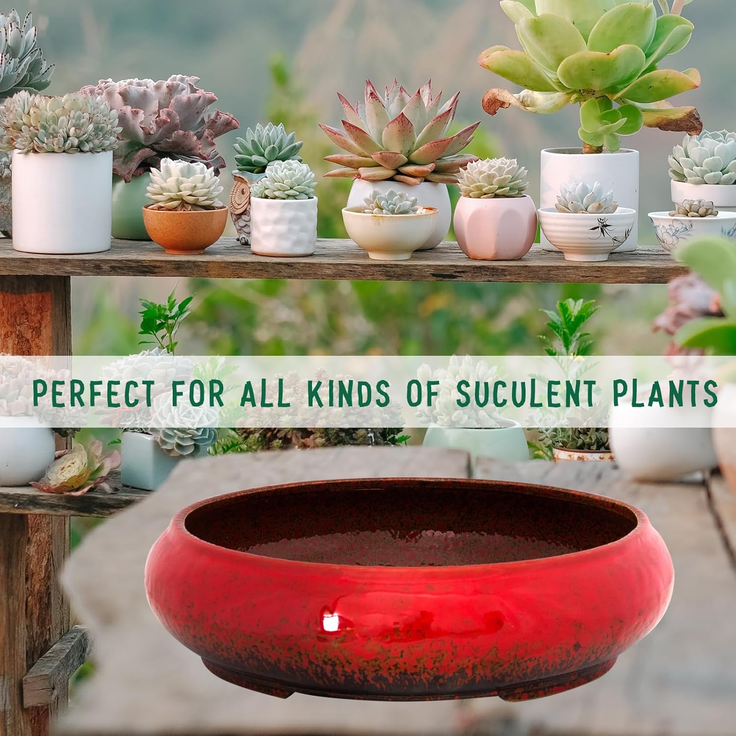 ARTKETTY Macetas para suculentas, macetas de cerámica para bonsái de 11.5 pulgadas con drenaje, macetas grandes y poco profundas para plantas de