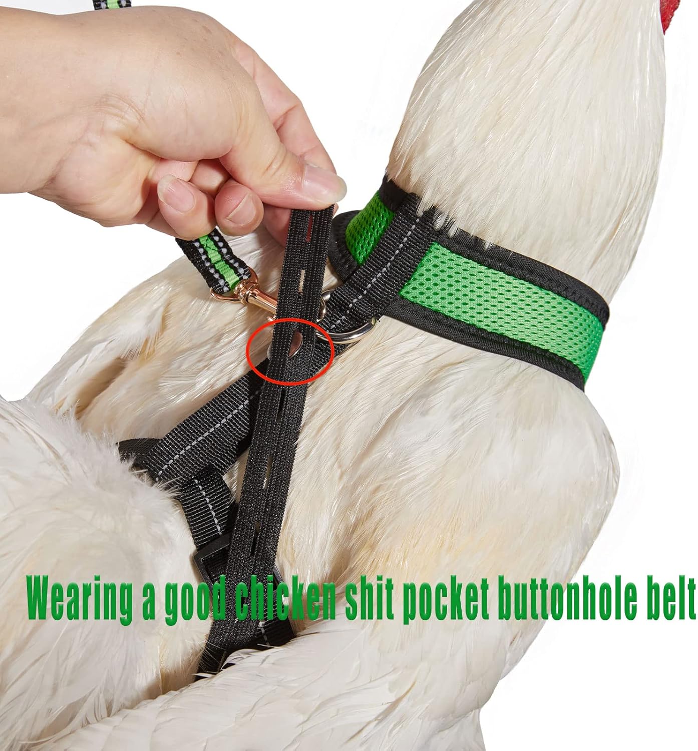 Arnés de pollo tamaño gallina con correa a juego de 6 pies lavable para mascotas, para pollitos, gansos, patos y más – Facilita el entrenamiento y