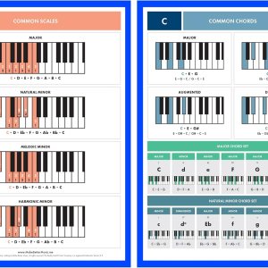 The Really Useful – Tarjetas de referencia para piano – Paquete de 12 (1 por firma de tecla) – Aprende y domina la teoría musical del piano con The Really Useful – Tarjetas de referencia para piano – Paquete de 12 (1 por firma de tecla) – Aprende y domina la teoría musical del piano con