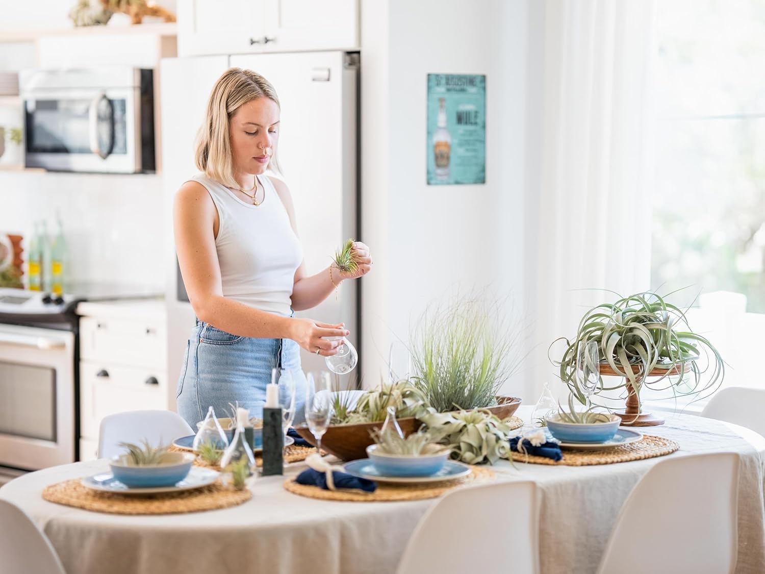 Air Plant Shop Plato de planta de aire Tillandsia totalmente ensamblado en contenedor esmaltado negro, al por mayor y a granel, suculentas –