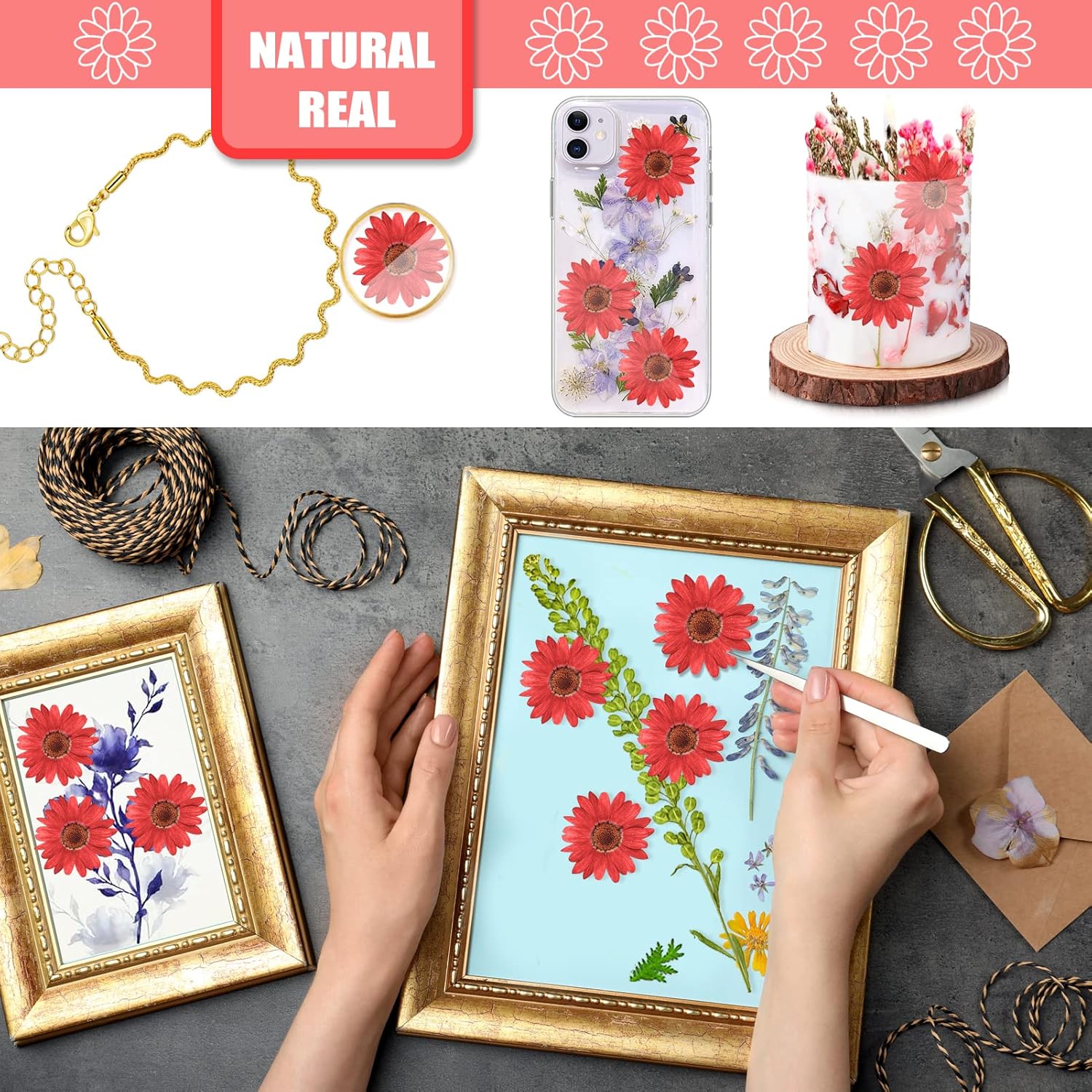 60 flores rojas prensadas girasoles para adornos de manualidades, flores secas naturales de 1.2 pulgadas, margarita grande para joyería de resina,