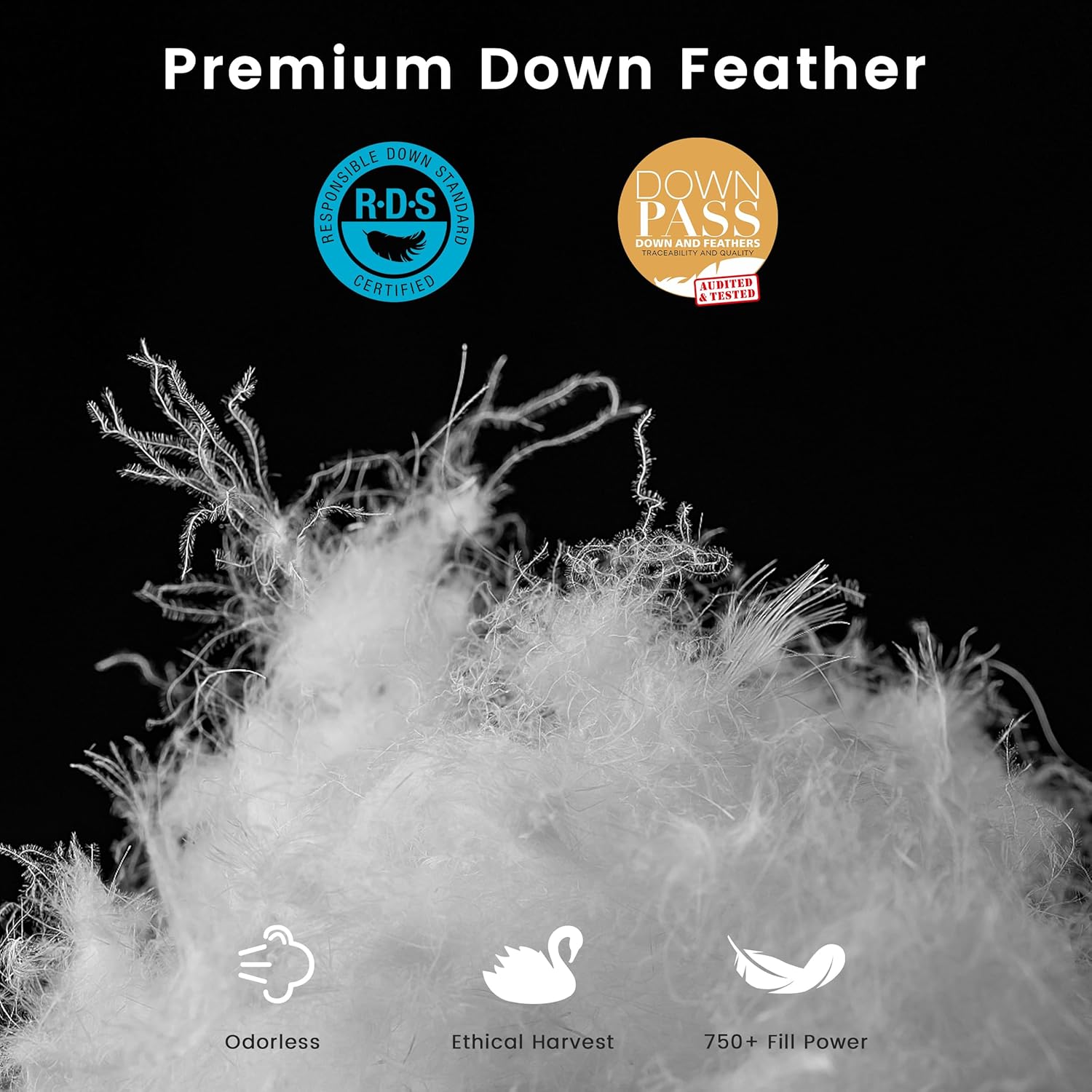 LeWinBedding Edredón de plumas de ganso de lujo tamaño Queen, relleno de edredón esponjoso para todas las estaciones, edredón de cama de calidad de