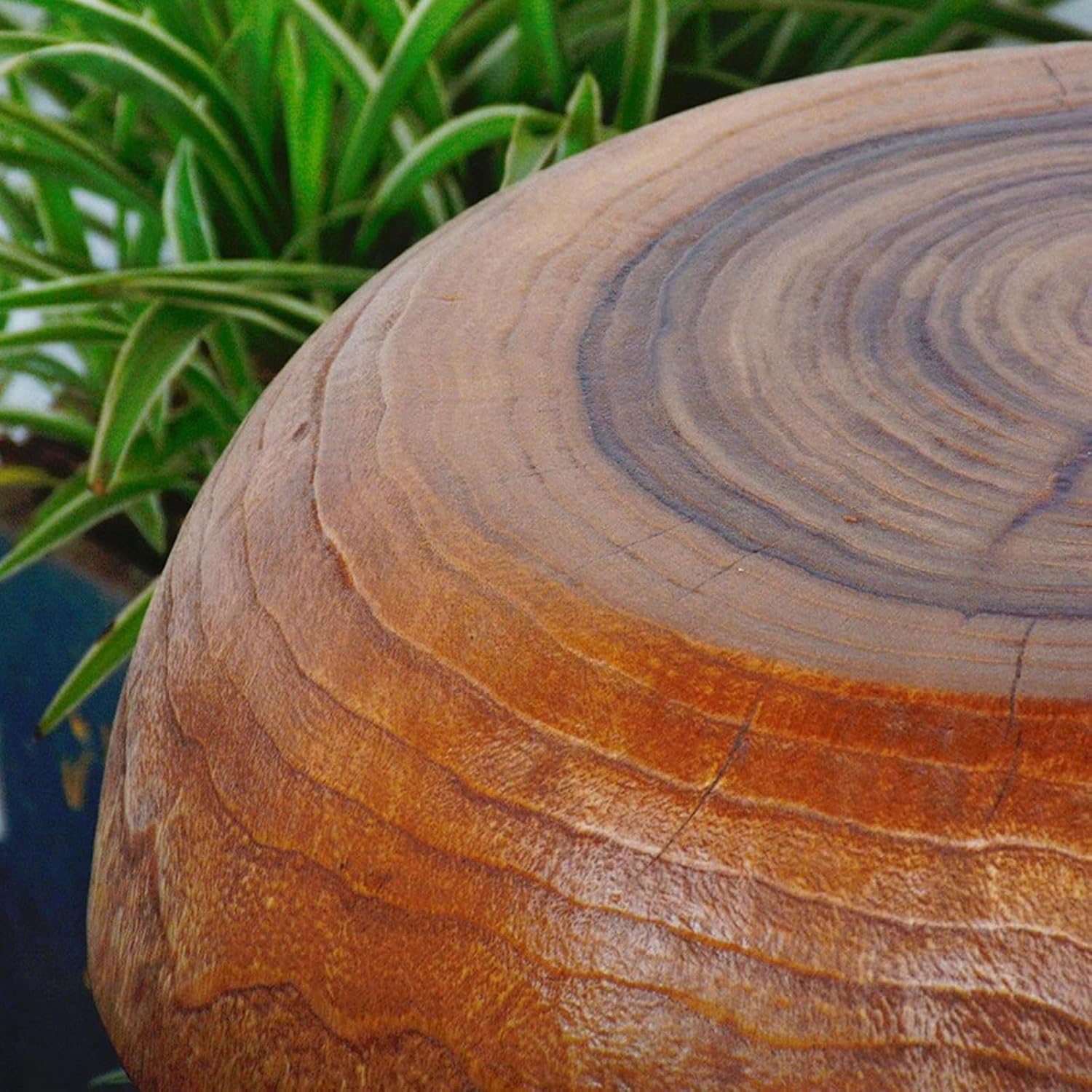 Taburete de tocón de árbol de forma natural de 10 x 10 x 15 pulgadas de alto, mesa de planta de tocón lateral con extremo de hongo, acabado de