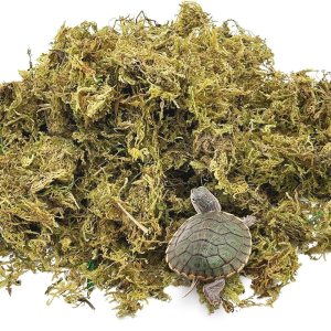 kathson Musgo Sphagnum para reptiles, musgo seco natural de 17.5 onzas, musgo de turba de reptiles, musgo esfagnum natural, musgo de rana para kathson Musgo Sphagnum para reptiles, musgo seco natural de 17.5 onzas, musgo de turba de reptiles, musgo esfagnum natural, musgo de rana para