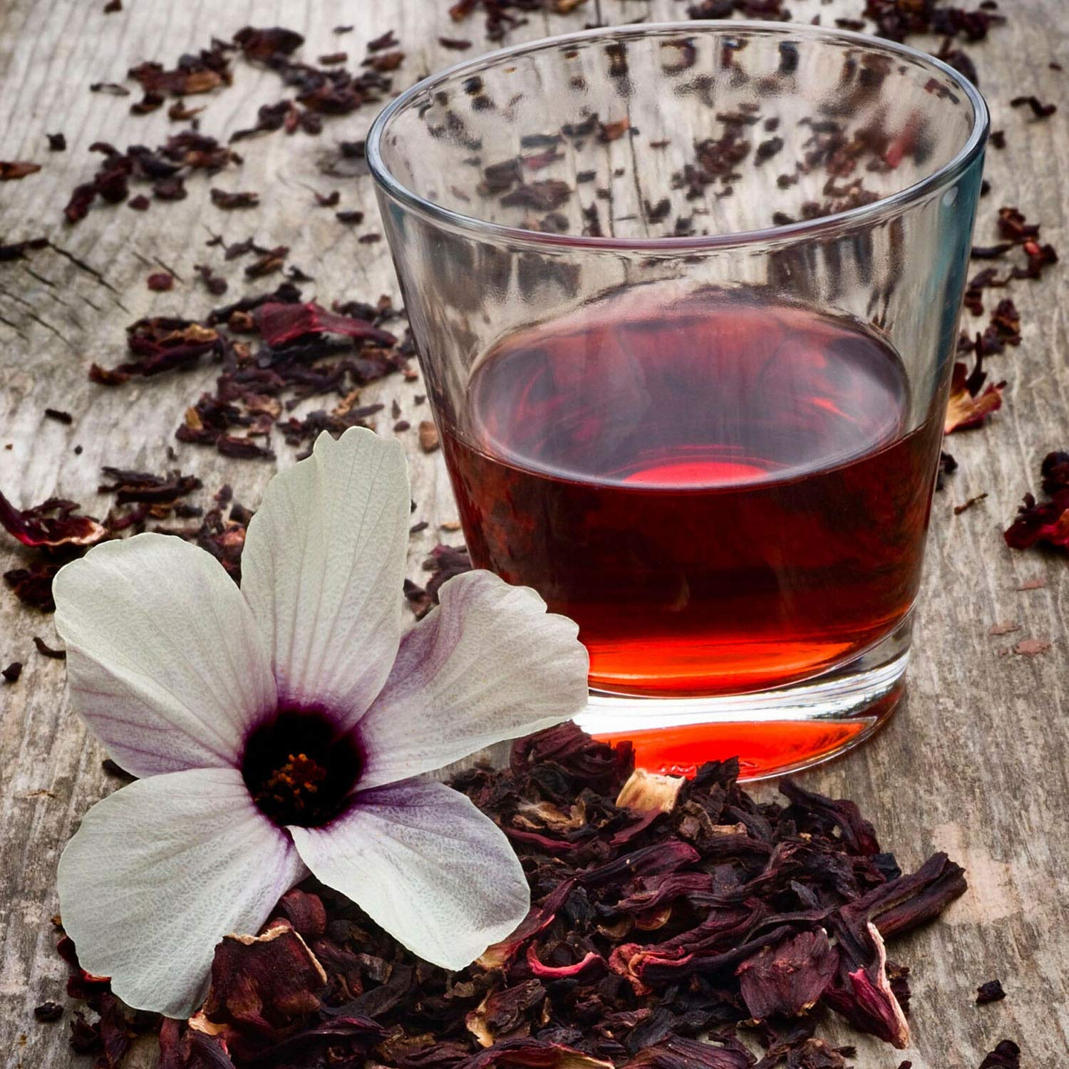 Zokiva Nutritionals – Té Moringa Hibiscus 100 Bolsas con Moringa Orgánica Premium  Nutritivo, Sabroso y Naturalmente Libre de Cafeína  En Bolsa con