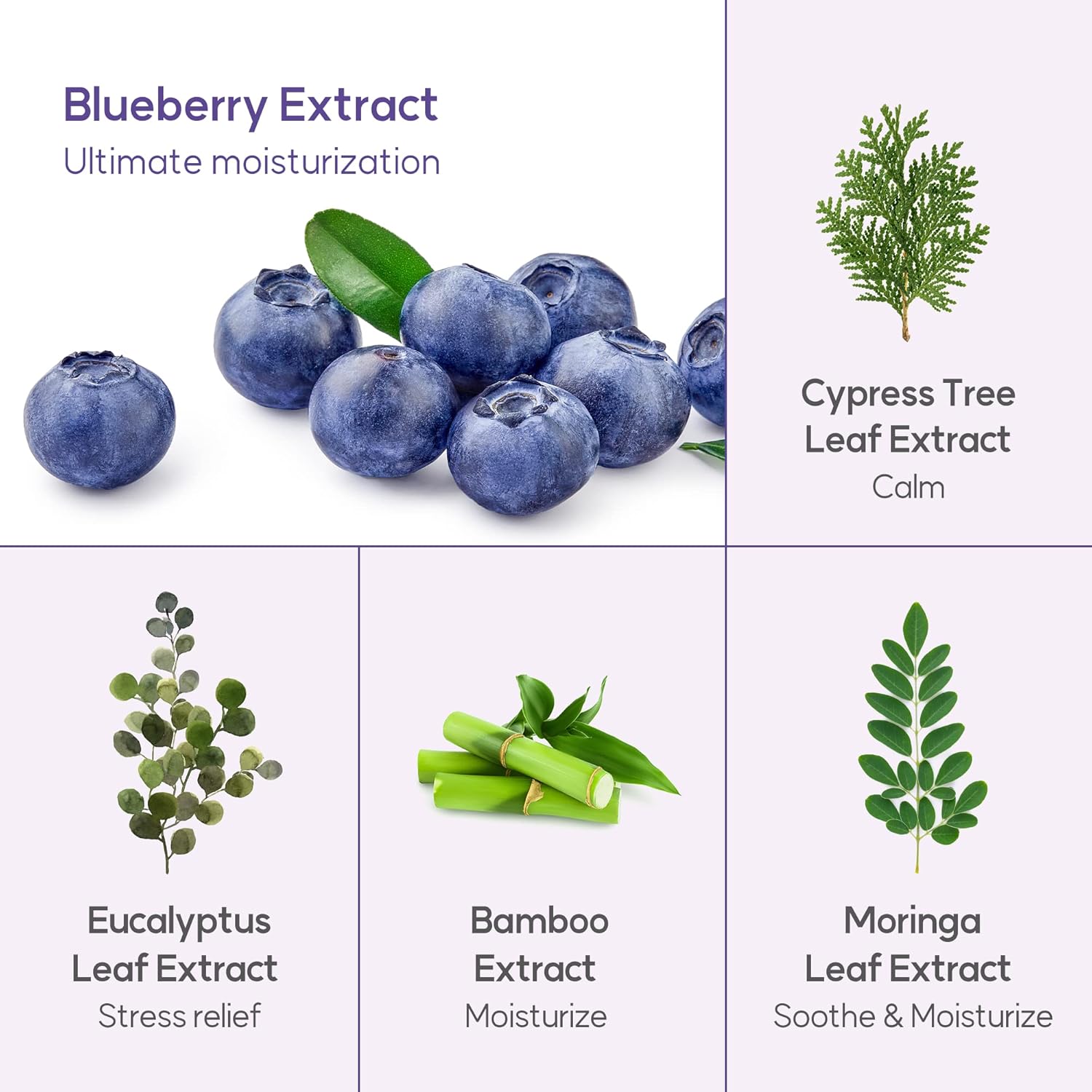 WELCOS FRUDIA Blueberry Gel limpiador hidratante a espuma  Limpiador facial hidratante para hombres y mujeres  Lavado facial para piel seca, piel