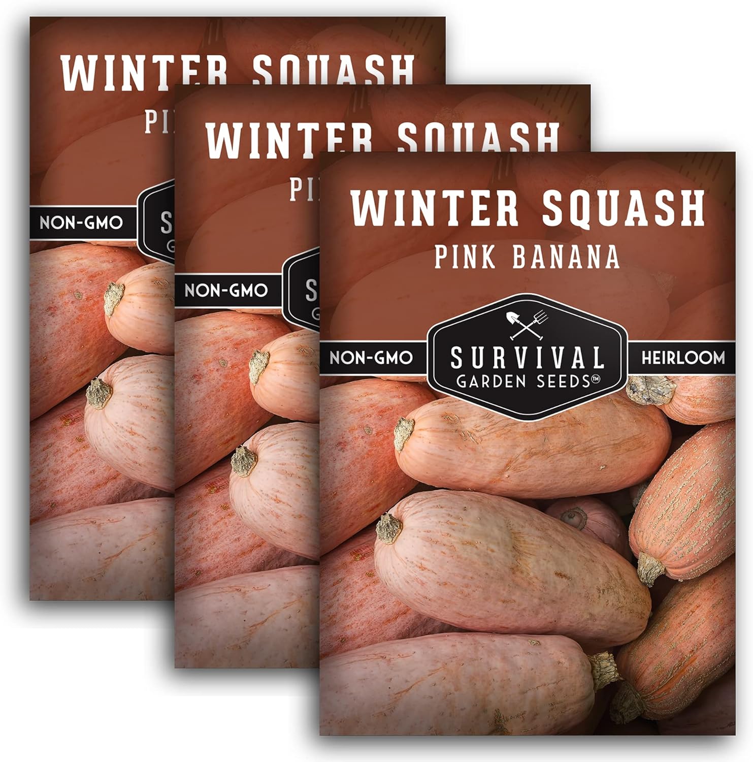 Survival Garden Seeds – Semilla de calabaza de invierno de plátano rosa para plantar – 3 paquetes con instrucciones para cultivar verduras de