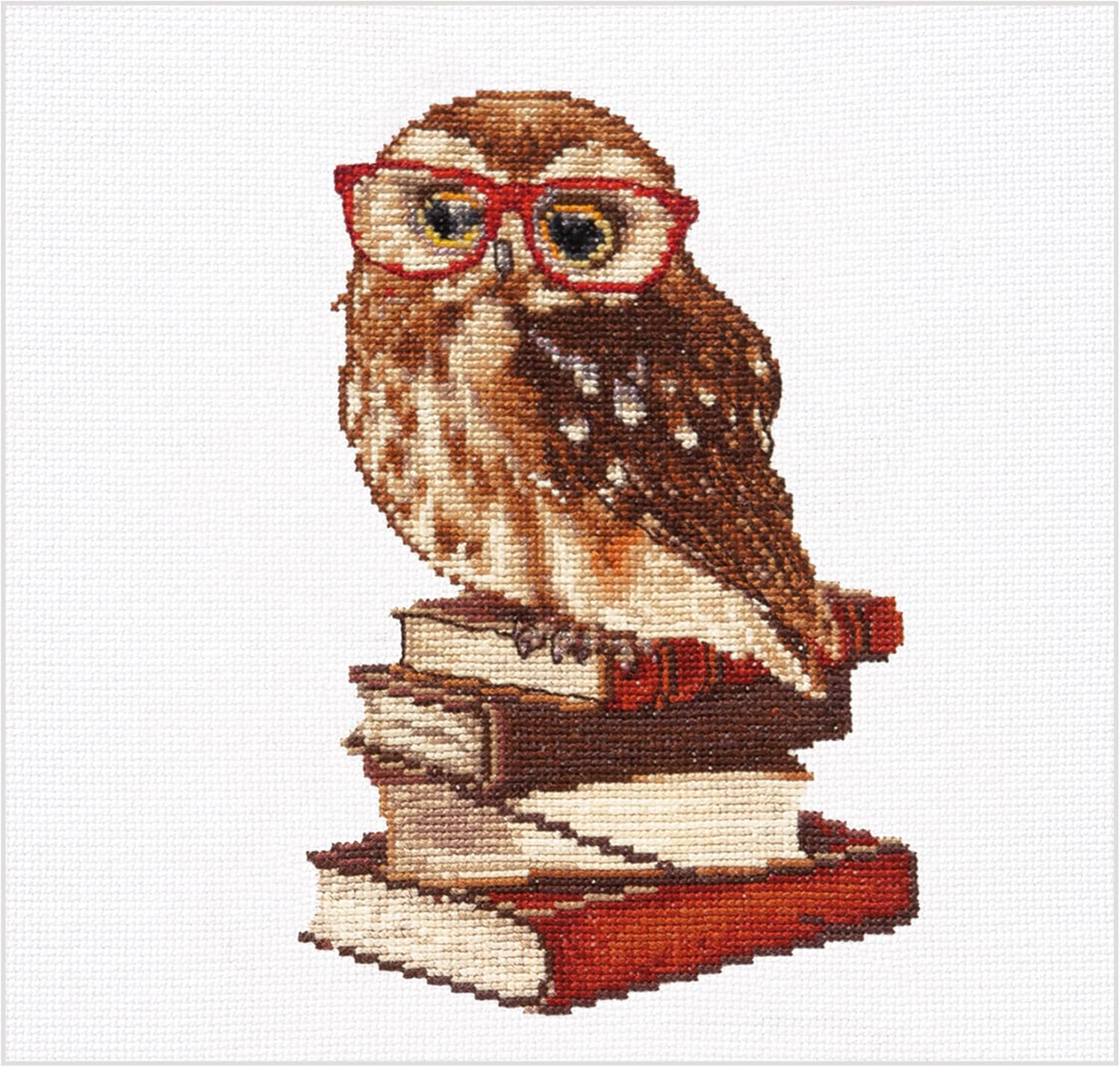 Thea Gouverneur – Kit de punto de cruz contado – Owlways be Happy! – Aida – 16 unidades – Kit de bordado para adultos – Hilos de bordado DMC y otros