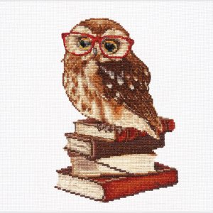 Thea Gouverneur – Kit de punto de cruz contado – Owlways be Happy! – Aida – 16 unidades – Kit de bordado para adultos – Hilos de bordado DMC y otros Thea Gouverneur – Kit de punto de cruz contado – Owlways be Happy! – Aida – 16 unidades – Kit de bordado para adultos – Hilos de bordado DMC y otros