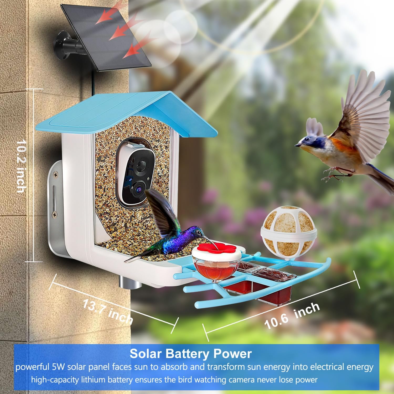 Comedero inteligente para pájaros con cámara alimentada por energía solar, video en vivo HD de 1080P y reproducción en teléfono, identificación AI