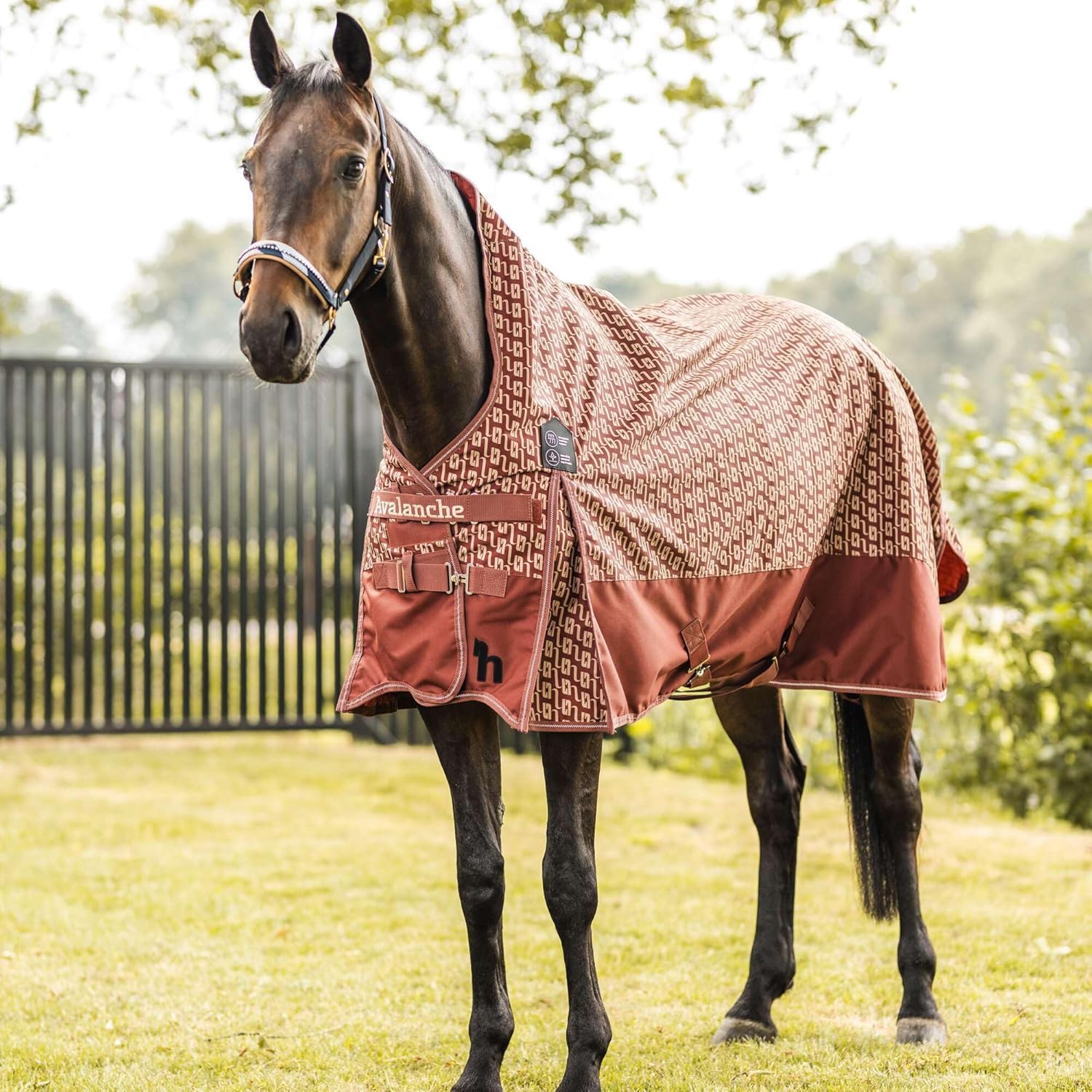HORZE Avalanche 1200D – Sábana de lluvia de cuello alto (sin relleno)  Manta ligera impermeable para caballo