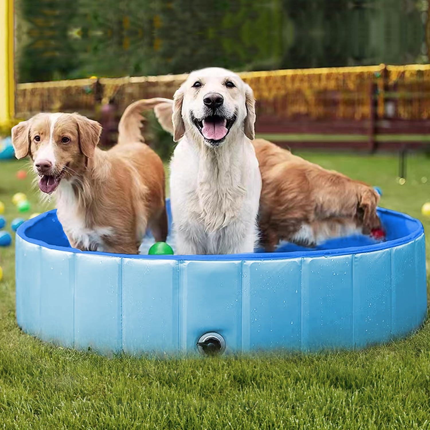 Reliancer Piscina plegable para perros, piscina plegable grande de 63 pulgadas para mascotas, bañera plegable para gatos, piscina portátil de PVC