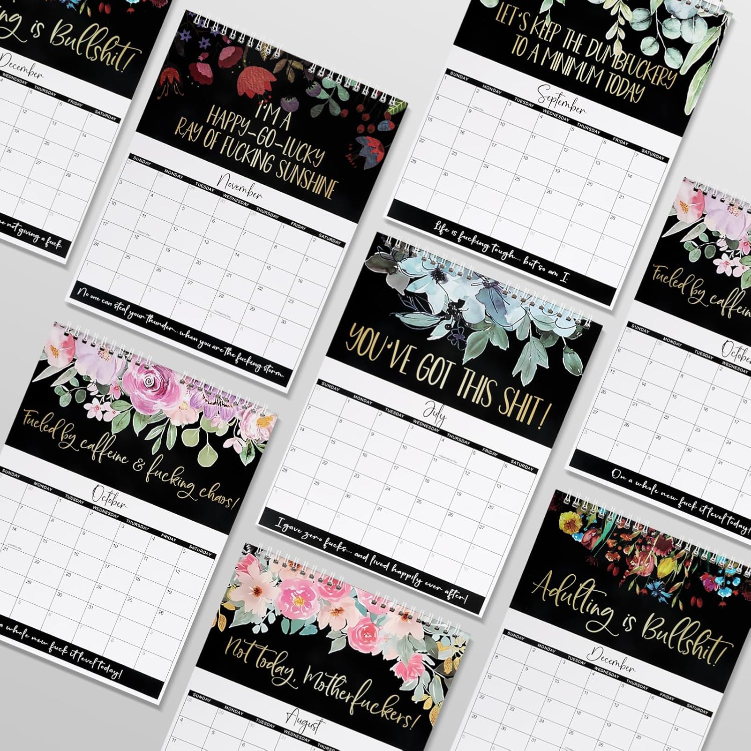 Calendario 2024 para mujeres cansadas  Calendario Fu-ck It  Calendario de mujeres cansadas  Calendario de pared 2024 para cansado  Divertido